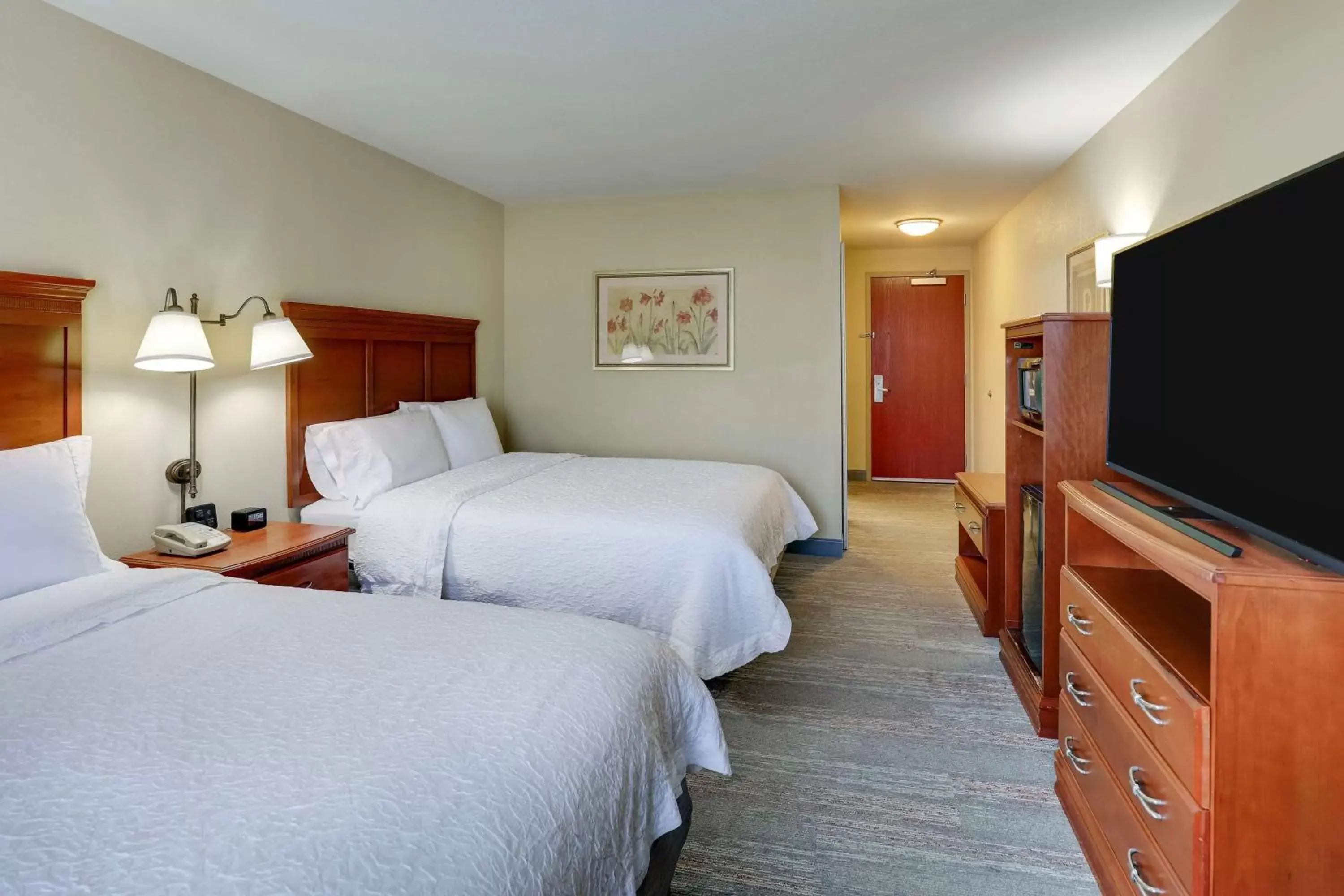 Bed, TV/Entertainment Center in Hampton Inn & Suites St. Louis - Edwardsville