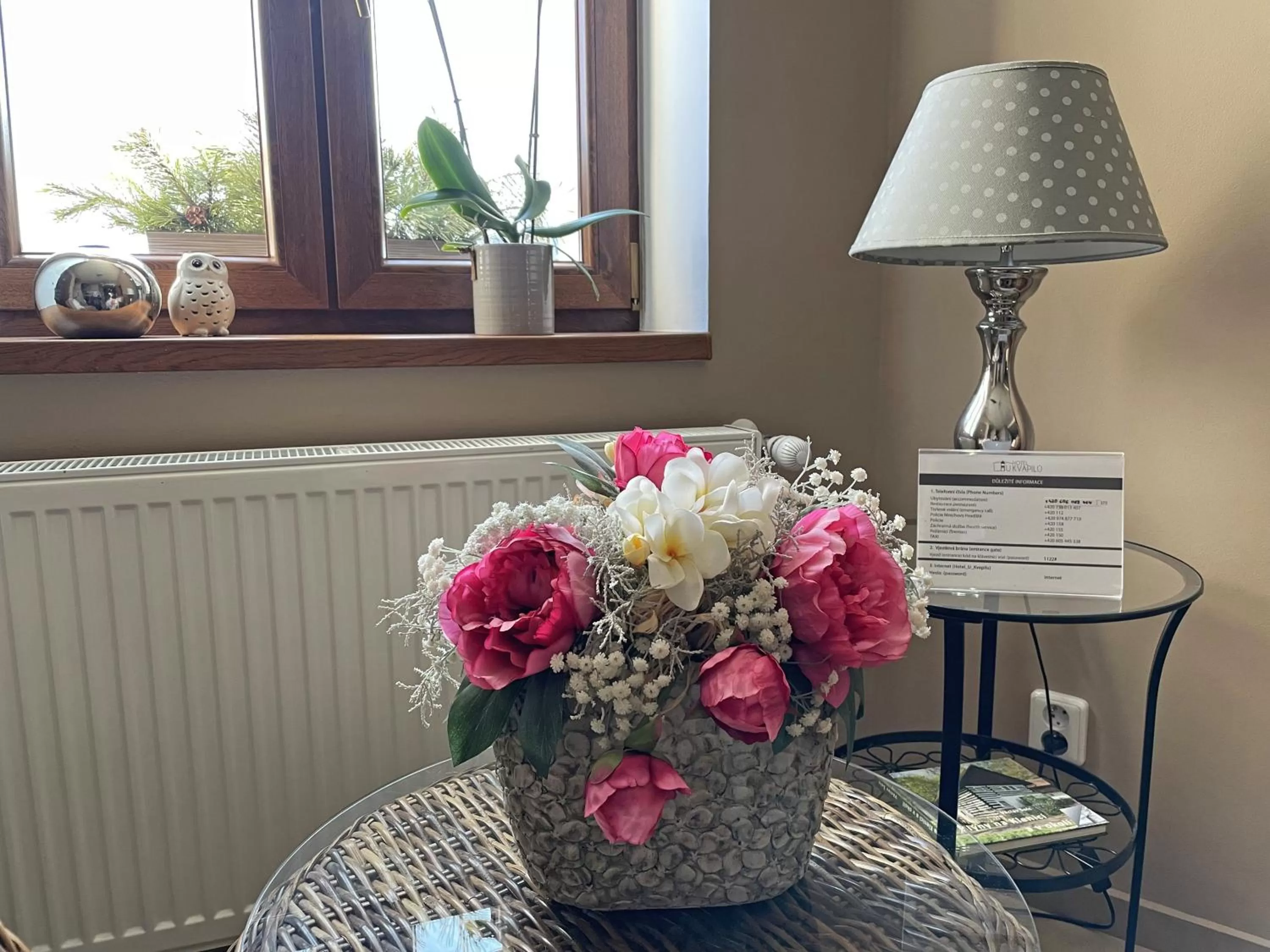 Lobby or reception in Hotel U Kvapilů