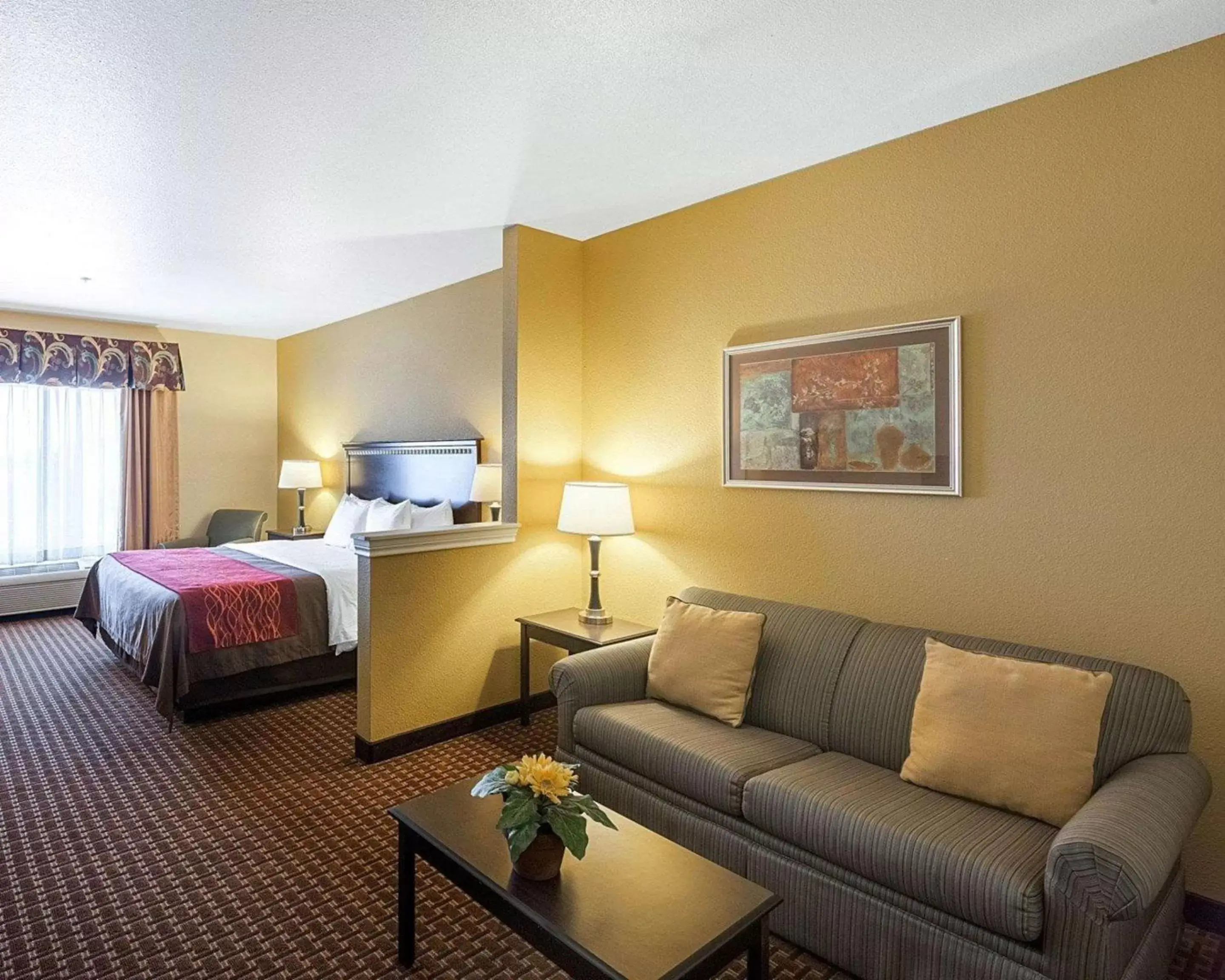 Photo of the whole room in Comfort Inn & Suites Regional Medical Center