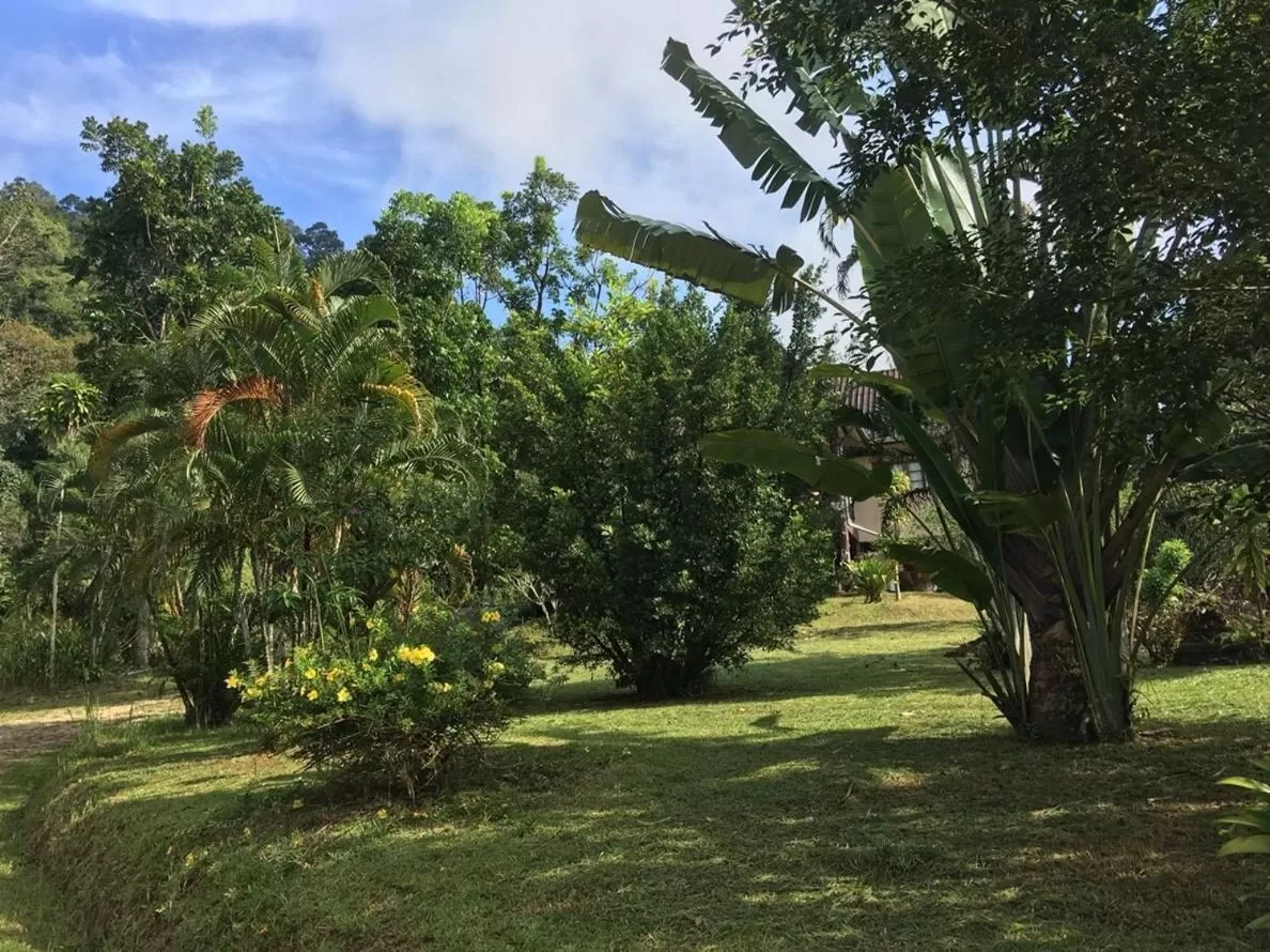 Activities in Khao Sok Hill Top Resort