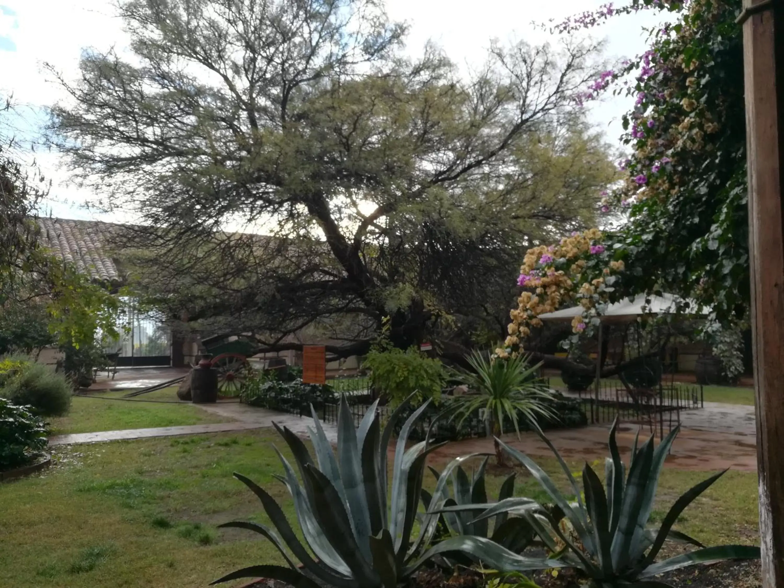 Restaurant/places to eat, Garden in Howard Johnson Hotel Rinconada de Los Andes