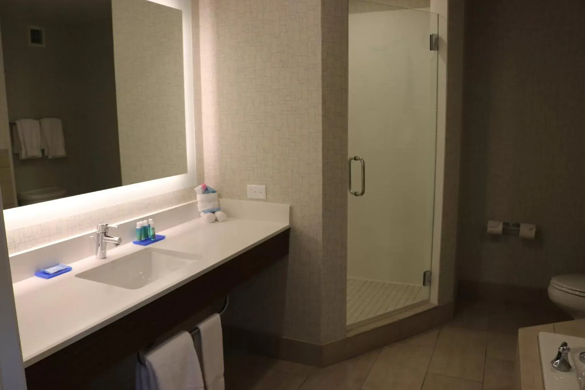 Bedroom, Bathroom in Holiday Inn Express Hotel & Suites El Dorado Hills, an IHG Hotel