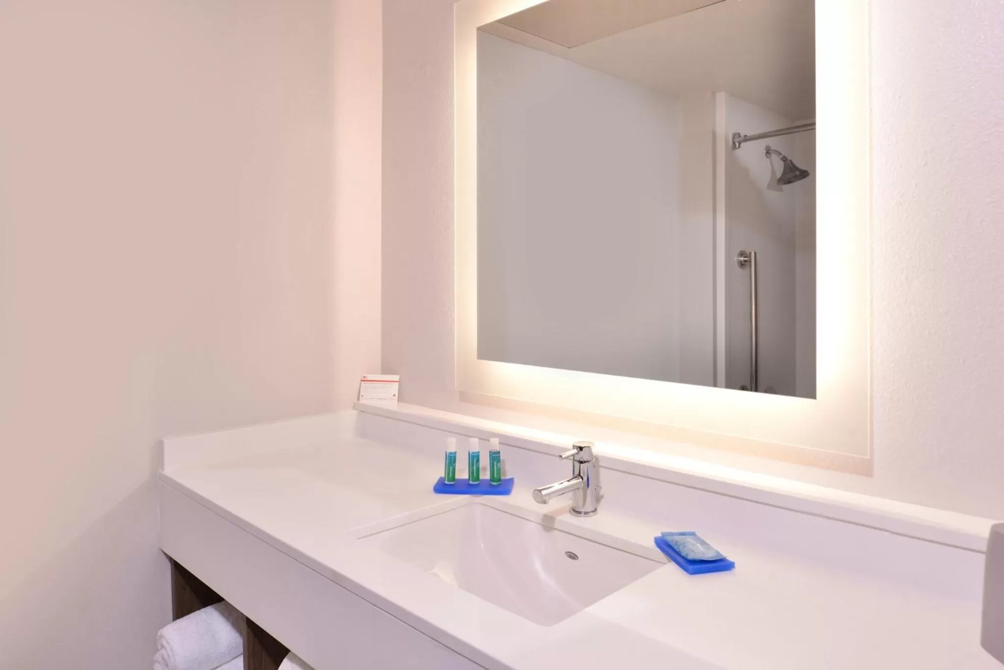 Bathroom in Holiday Inn Express Hotel and Suites Mesquite, an IHG Hotel