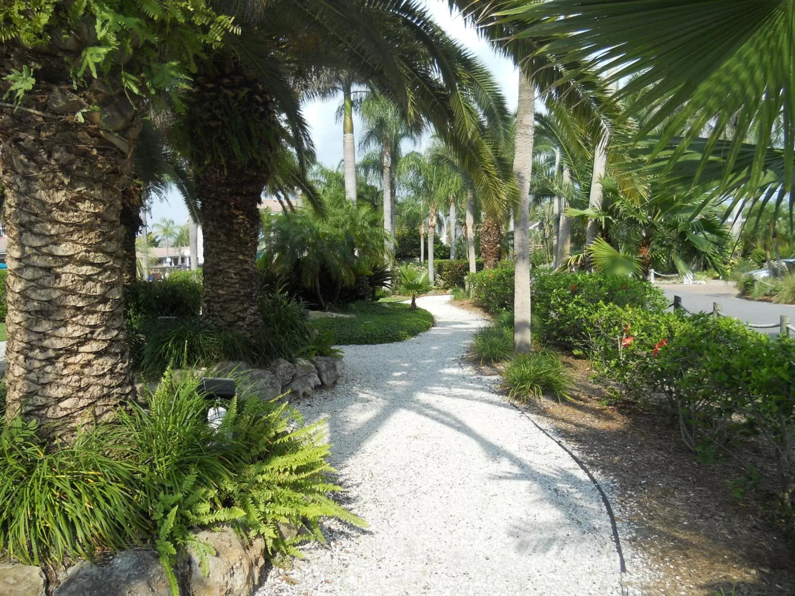 Day, Garden in The Capri at Siesta