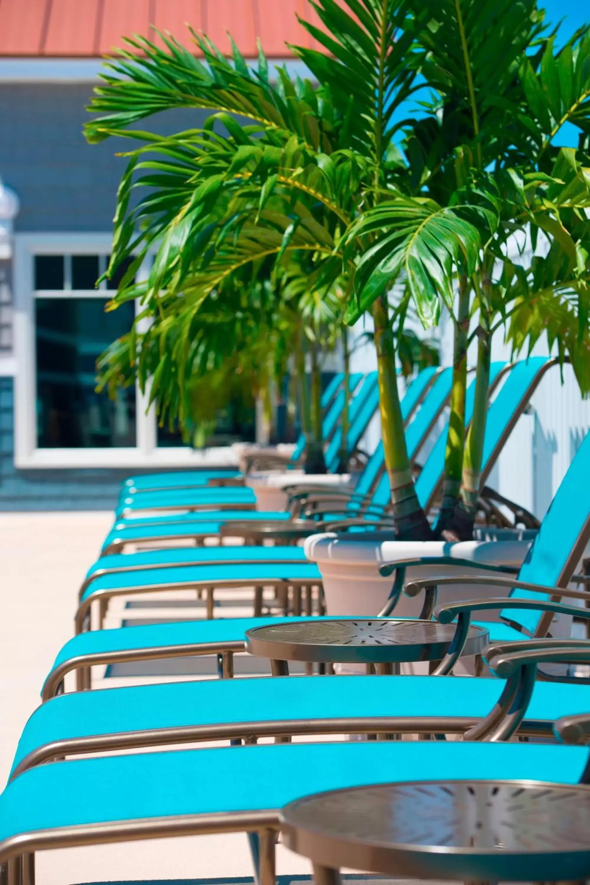 Swimming pool in Bethany Beach Ocean Suites Residence Inn by Marriott