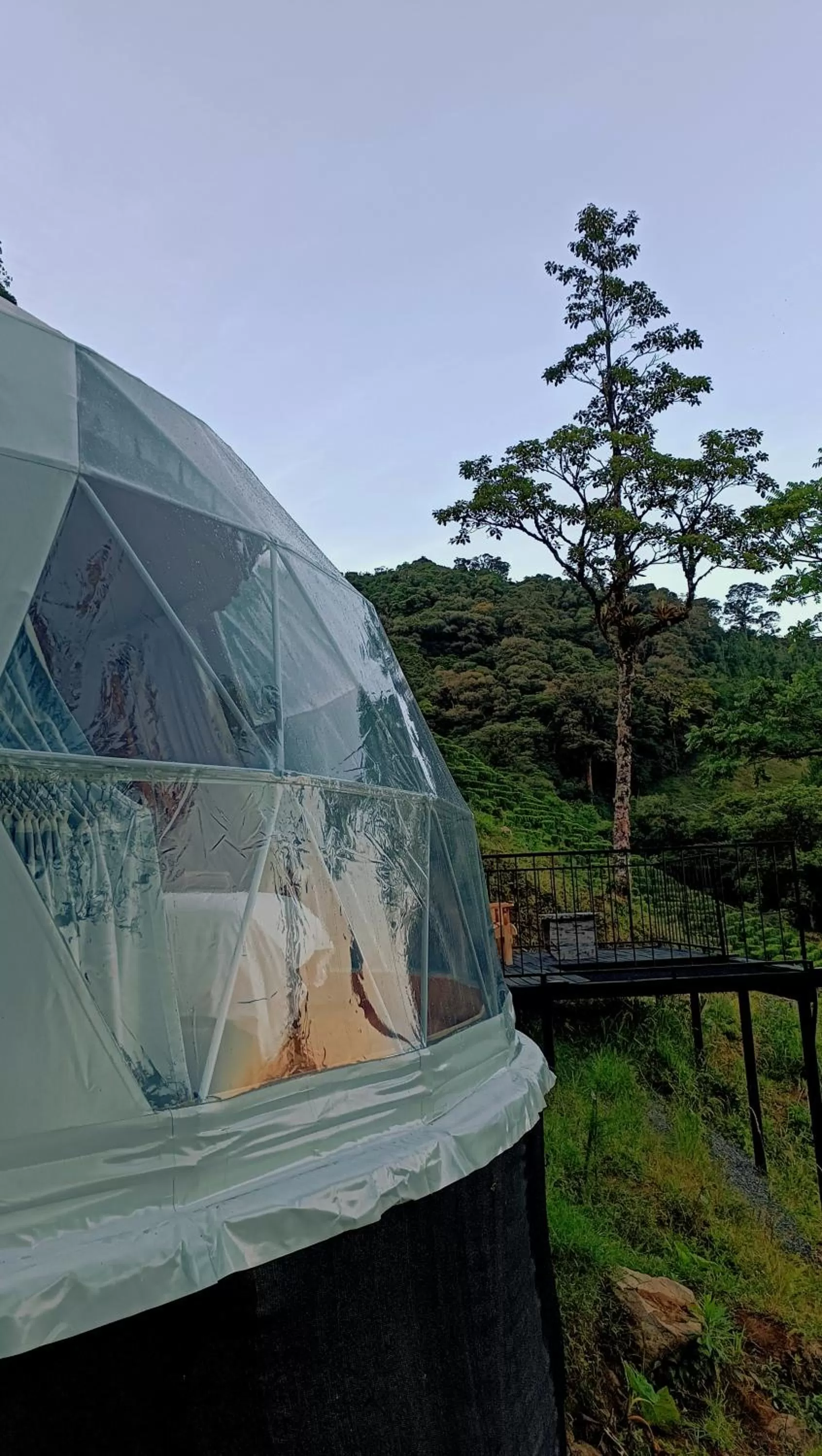 Natural landscape in TREE TREK BOQUETE Adventure Park