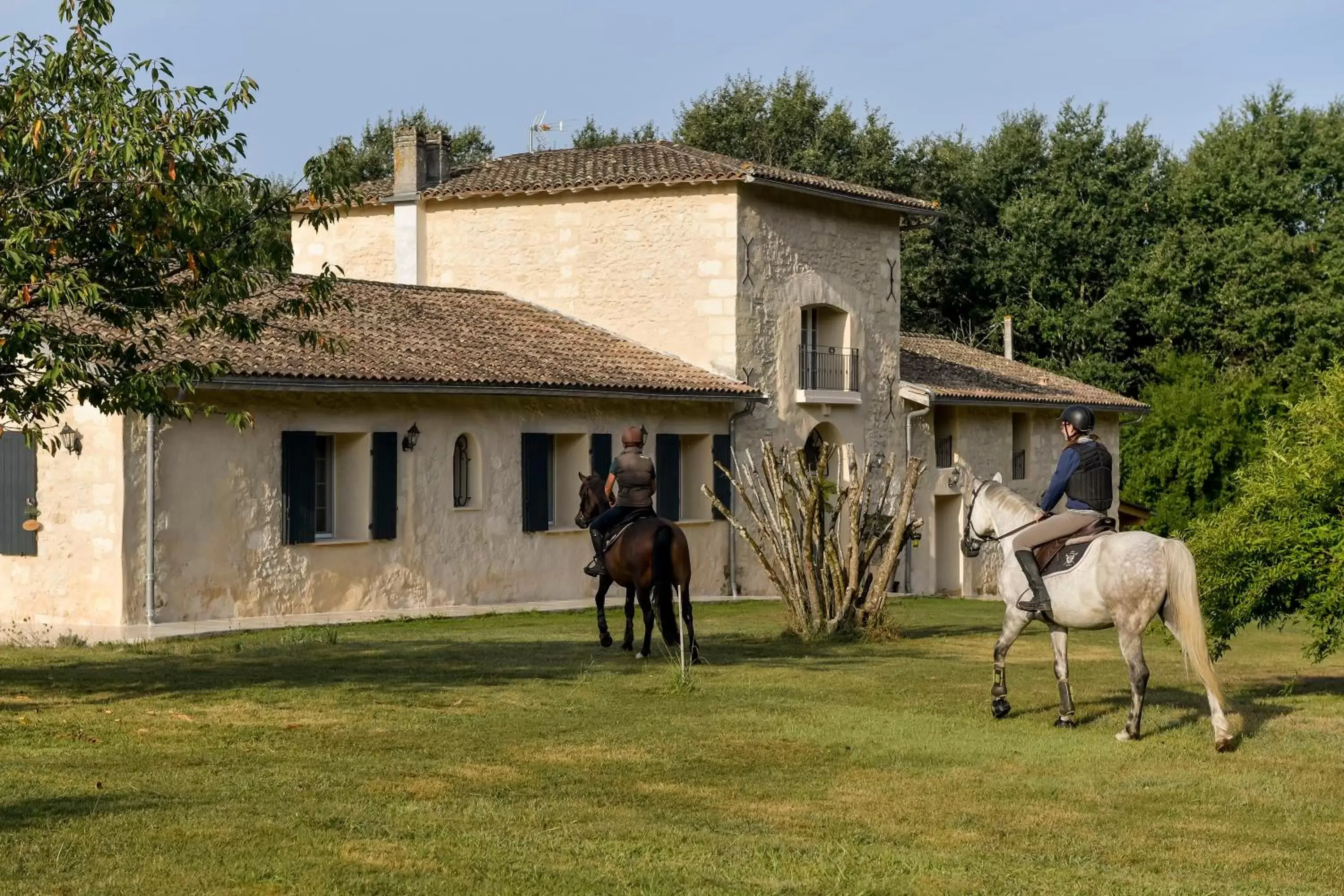 Property Building in Domaine verte vallée