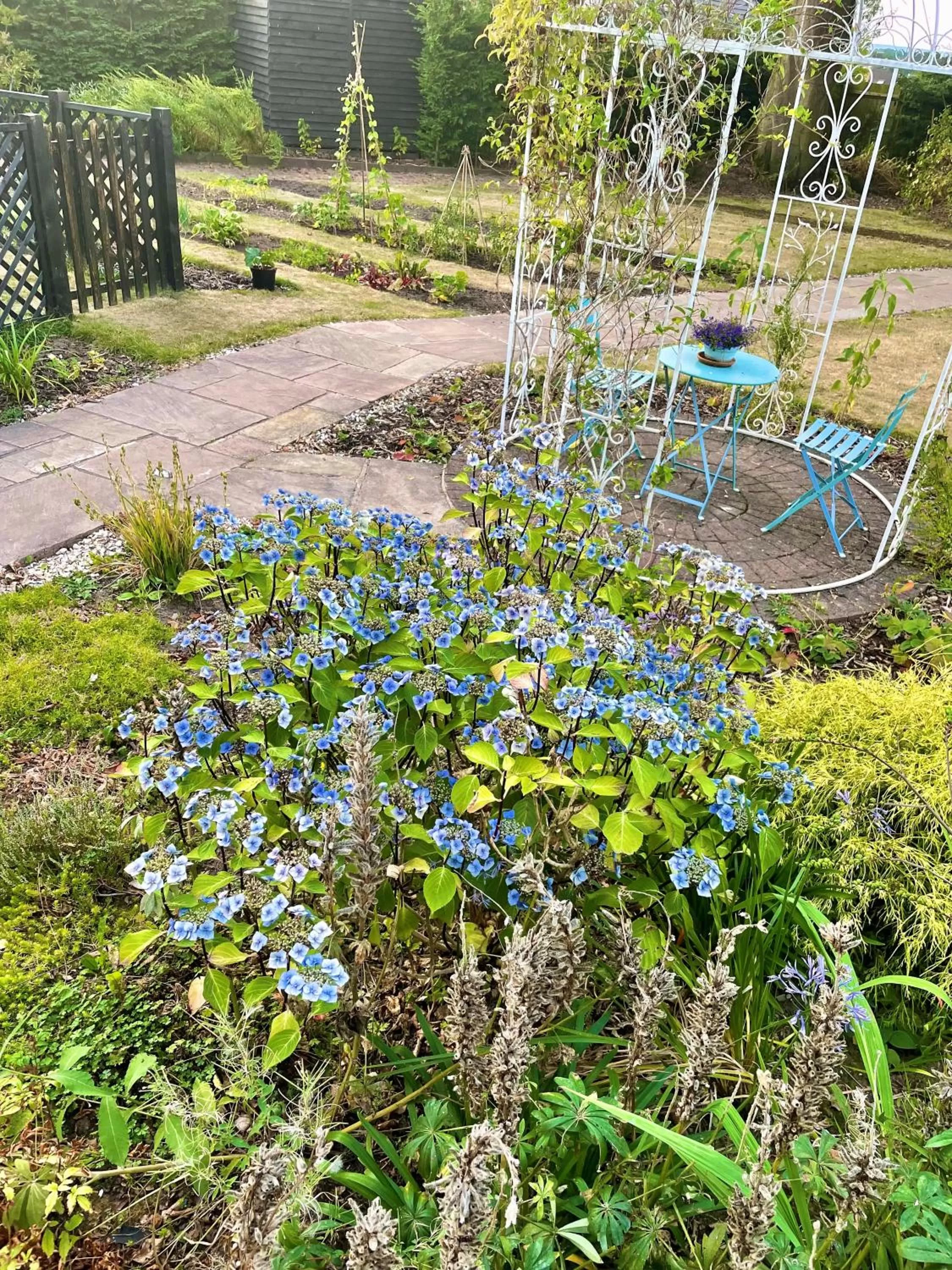 Garden in Eagle House - Award Winning B&B and Apartment