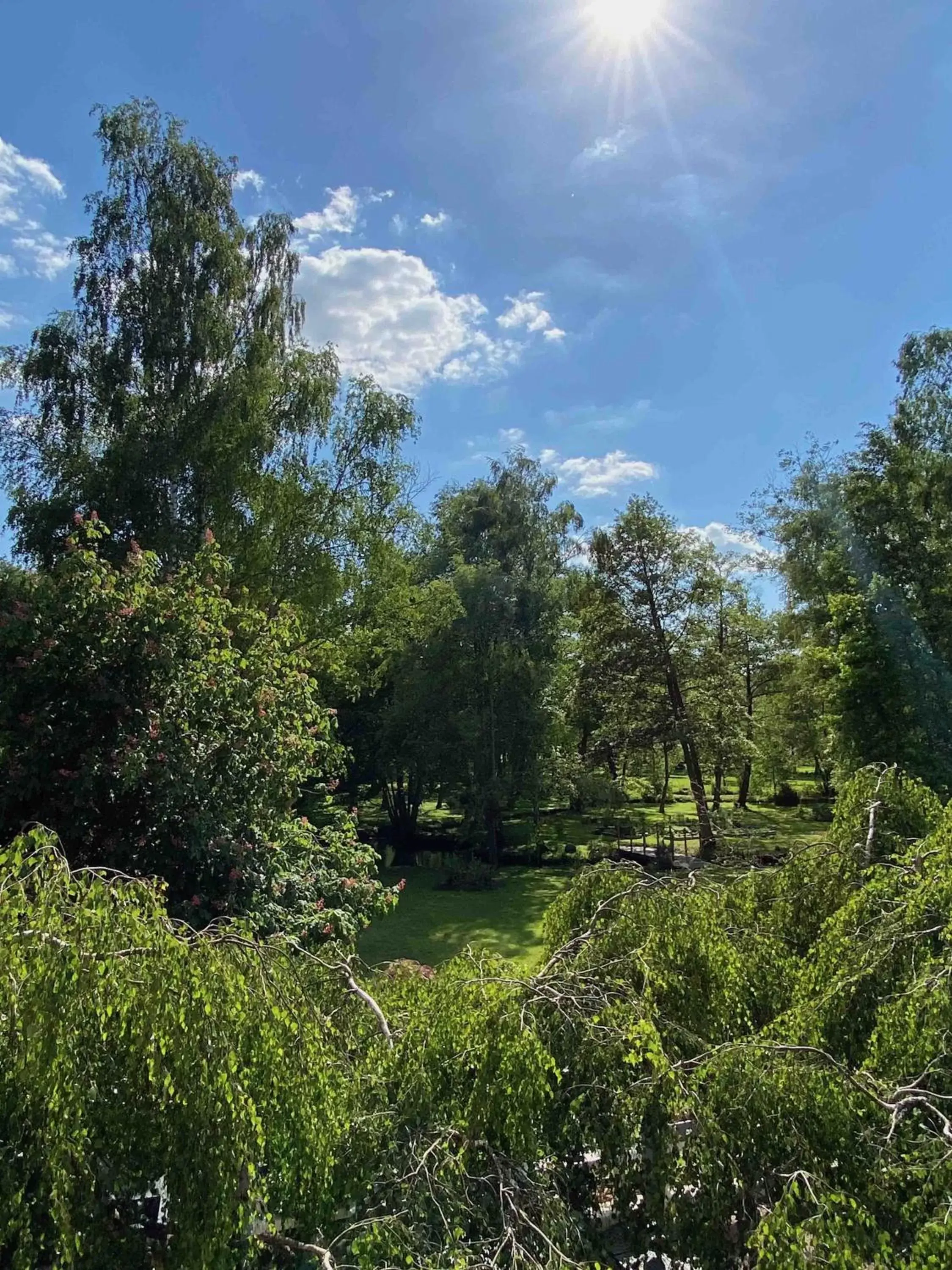 Natural landscape in Le Moulin Fouret