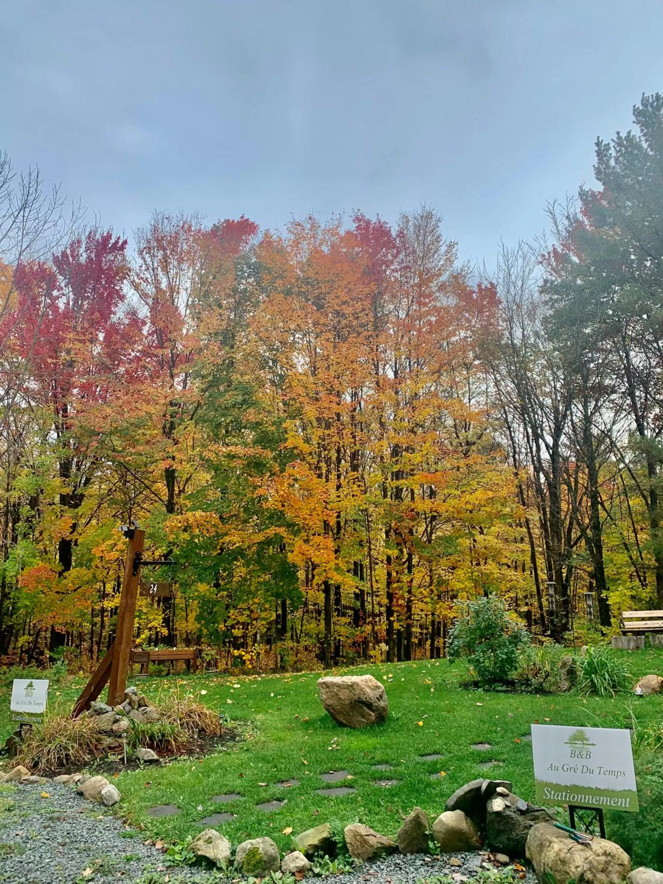 Natural landscape in Au Gré Du Temps - Gîte B&B