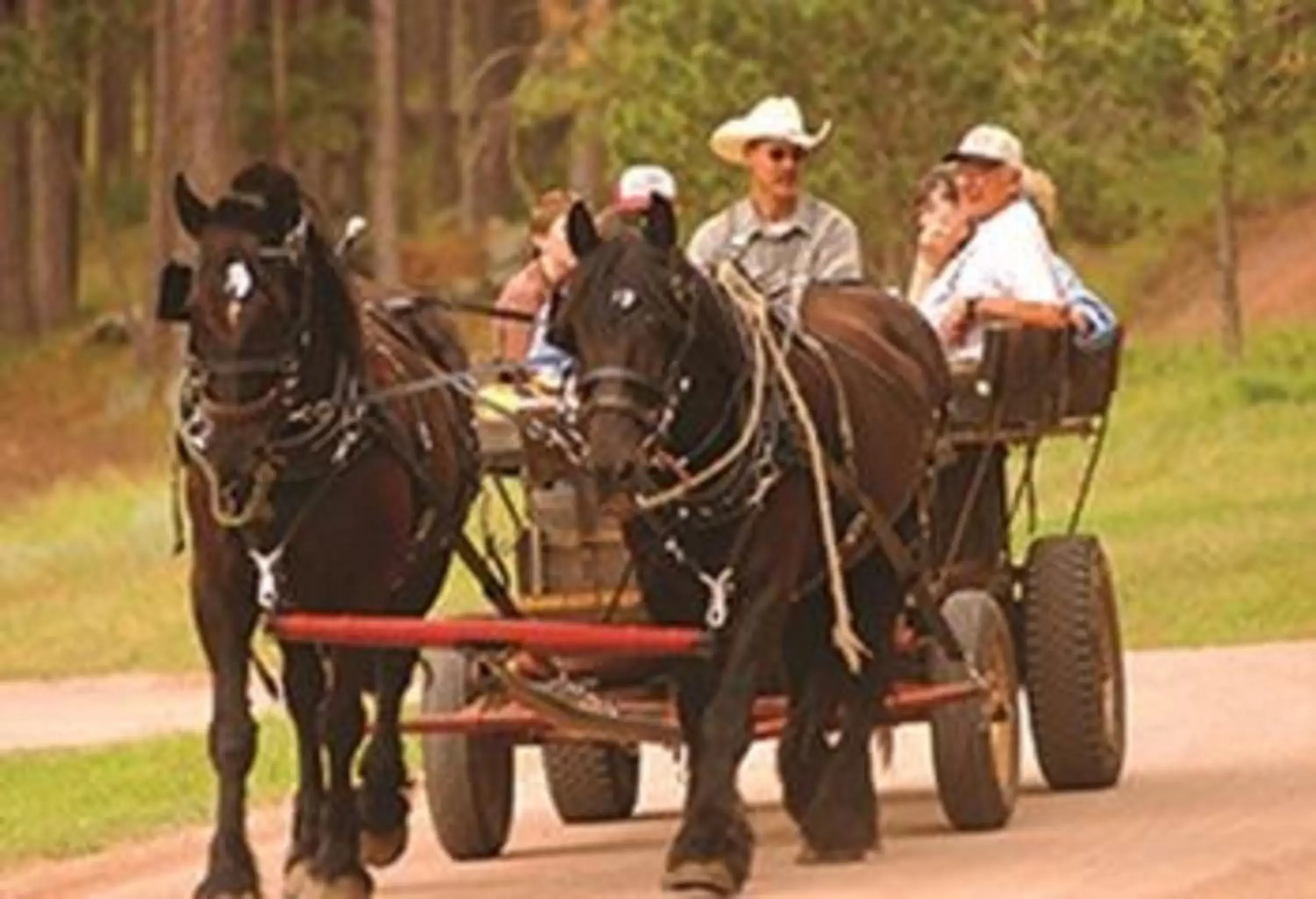 Activities, Horseback Riding in Lodge at Palmer Gulch