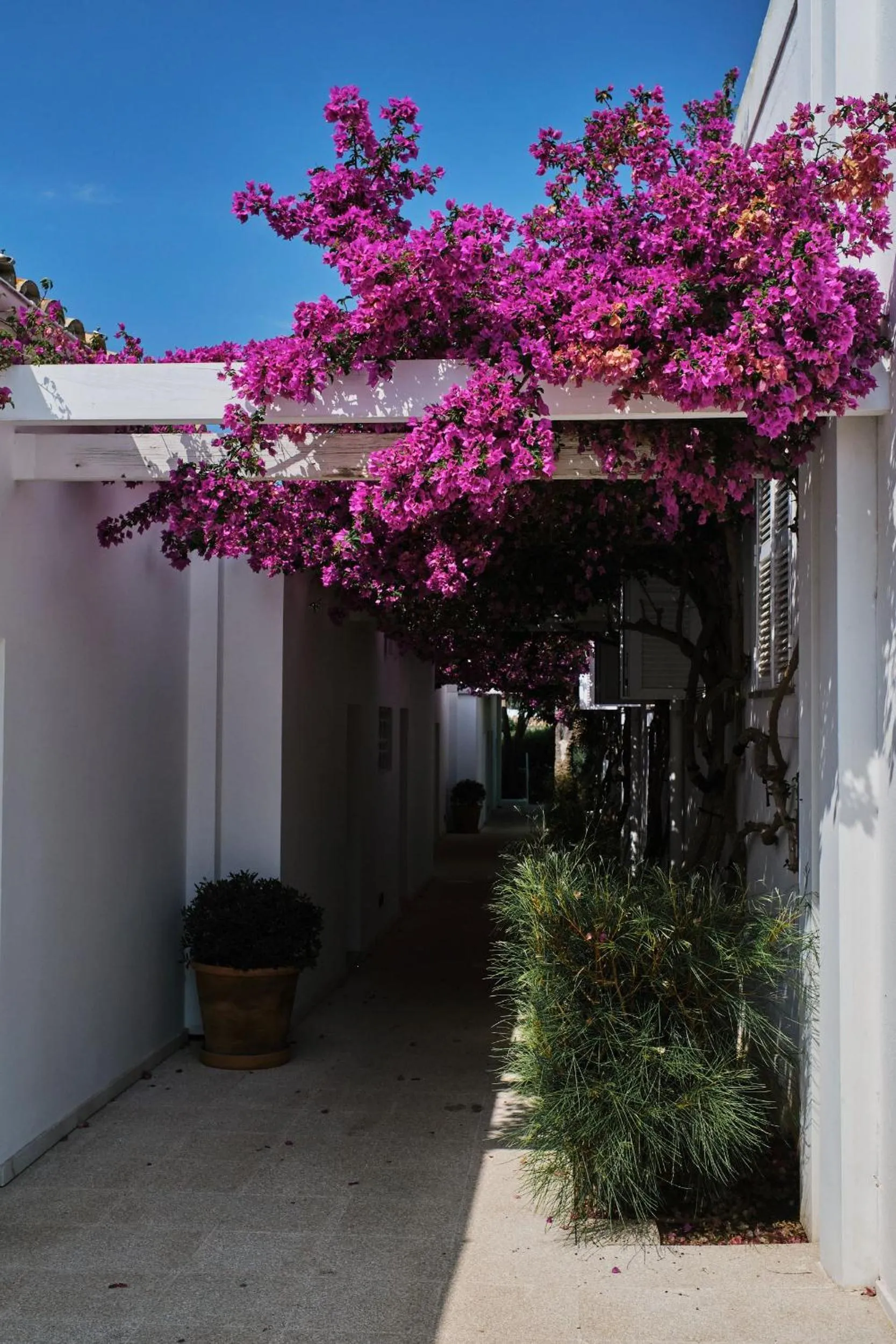 Property building in Prinsotel Mal Pas - Adults Only