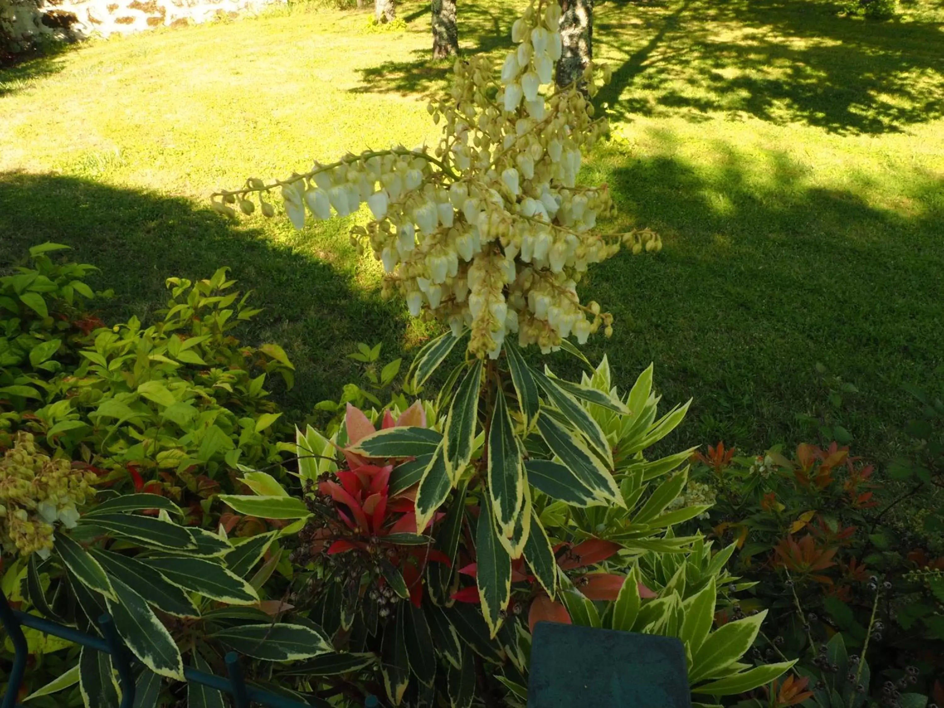 Garden in Hotel Solar das Laranjeiras