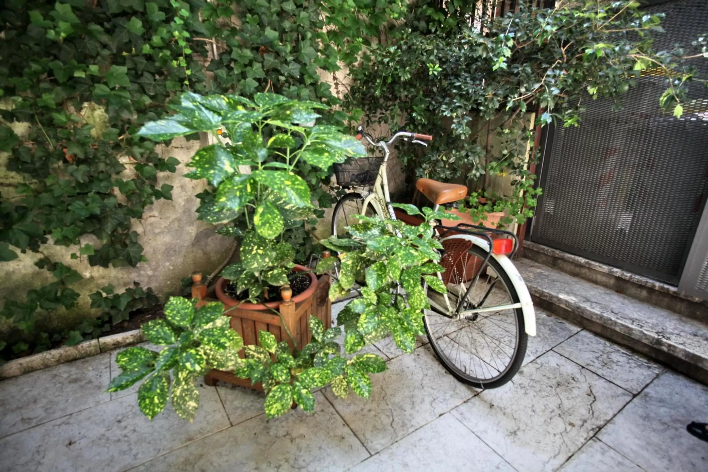 Patio, Other Activities in Albergo Accademia