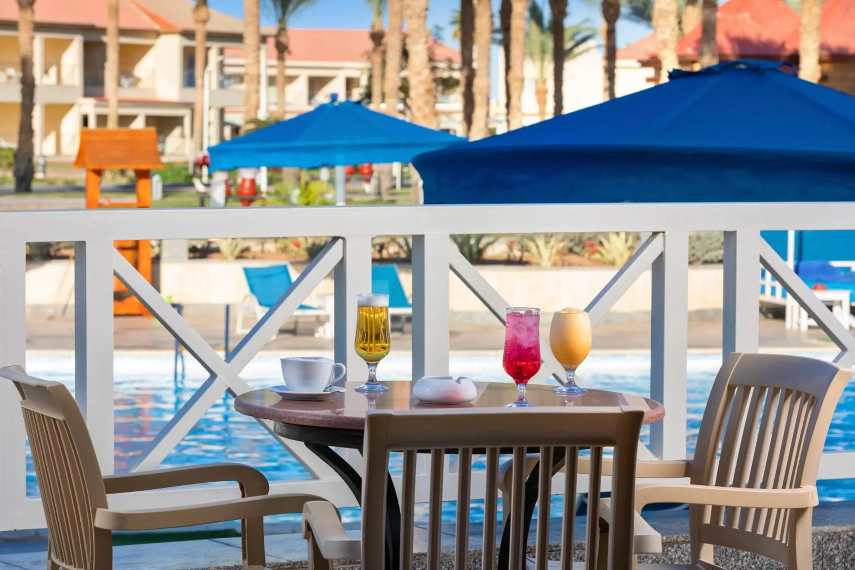 Lounge or bar in Pickalbatros Aqua Blu Sharm El Sheikh