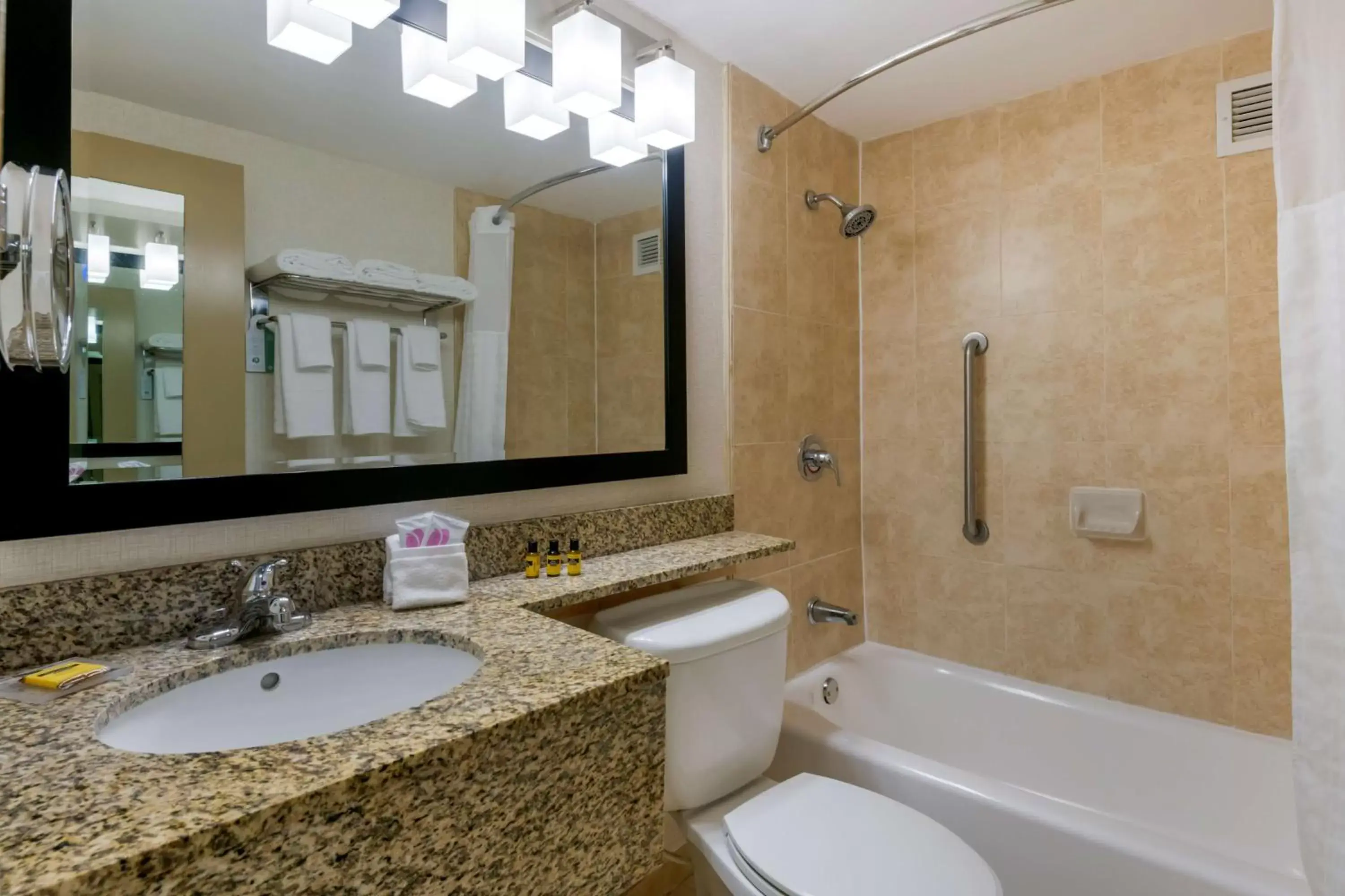 Bathroom in Best Western Plus North Miami-Bal Harbour