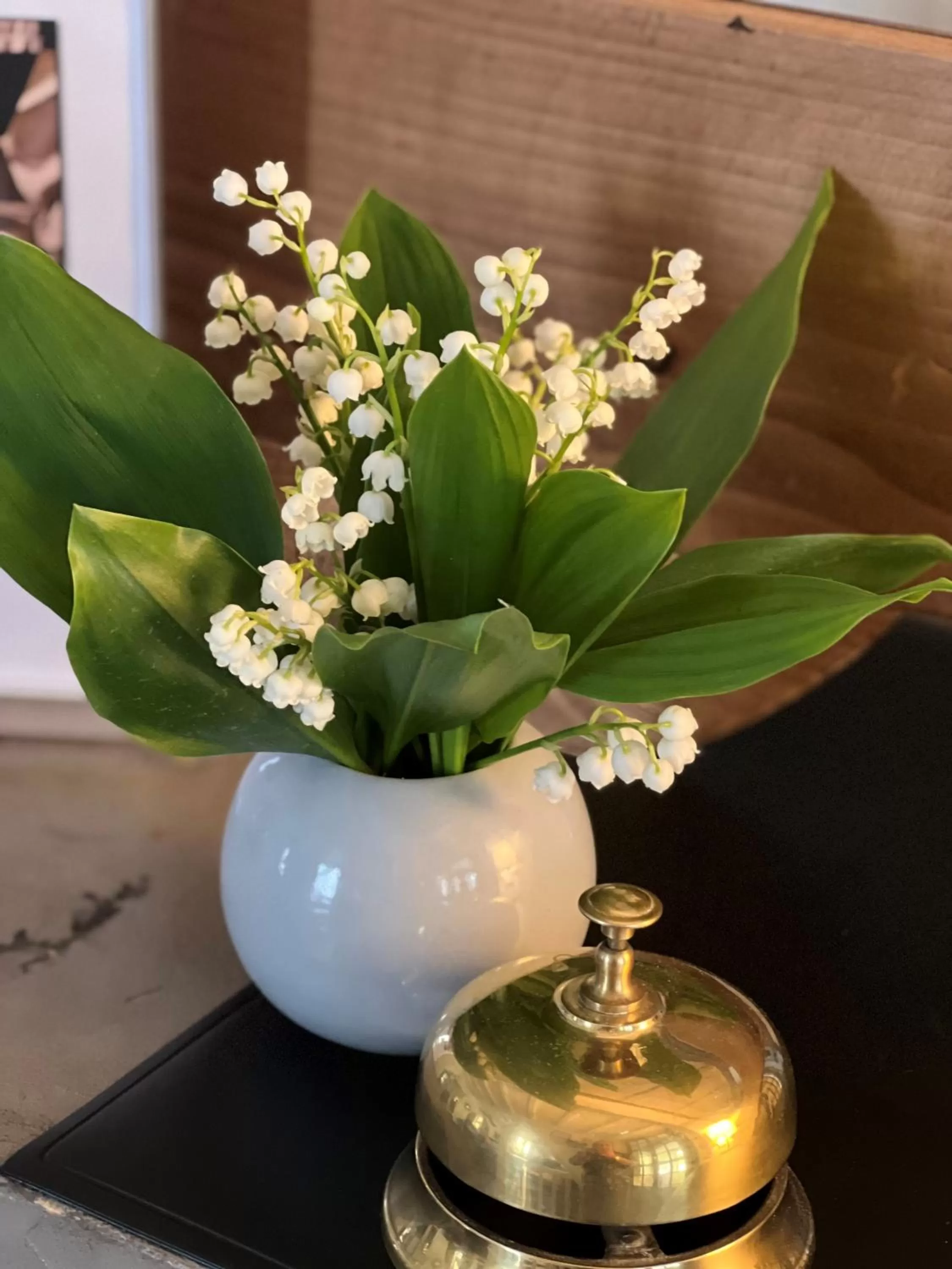 Communal lounge/ TV room in Coeur des Neiges