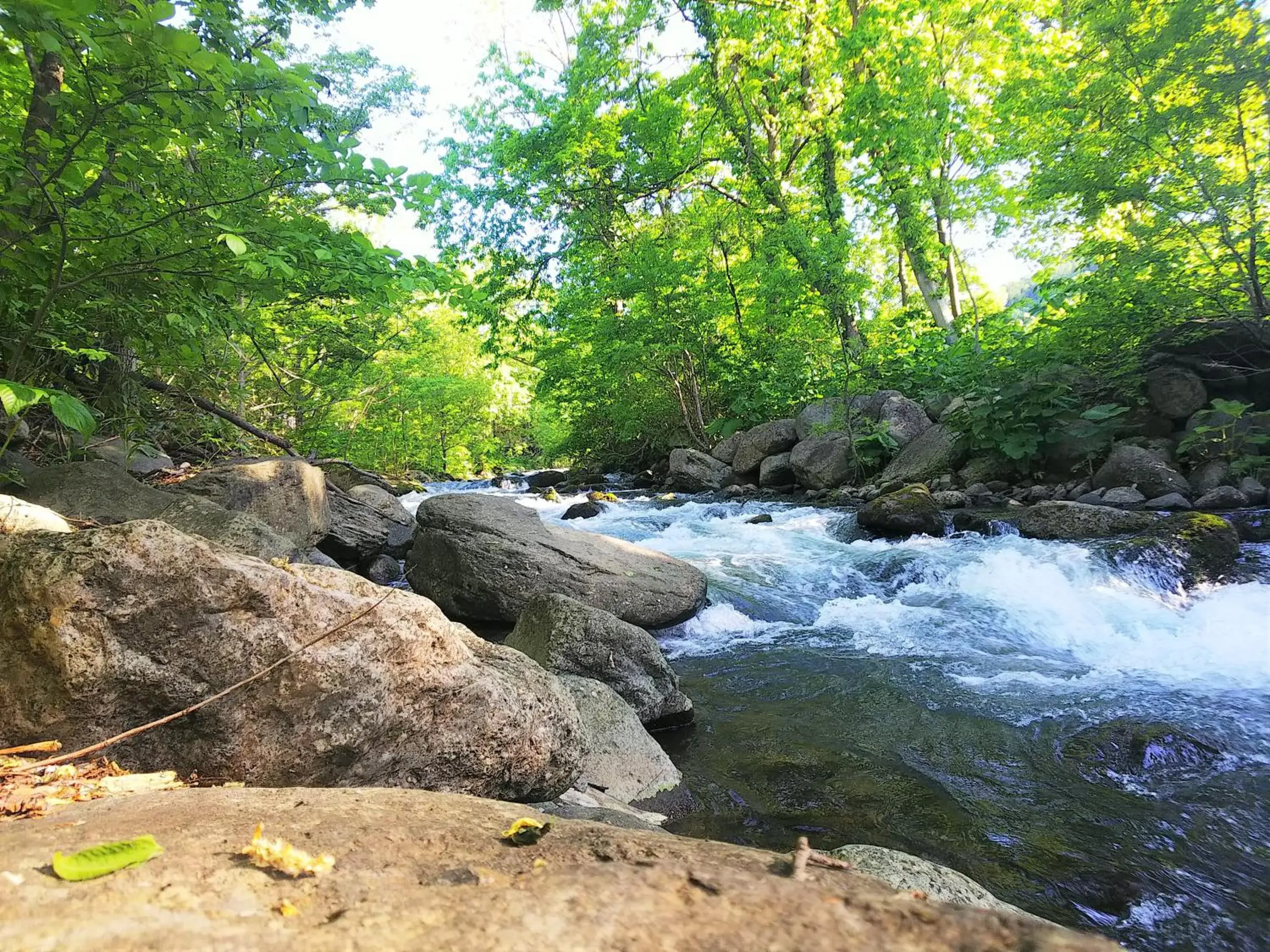 Off site, Natural Landscape in Winkel Village