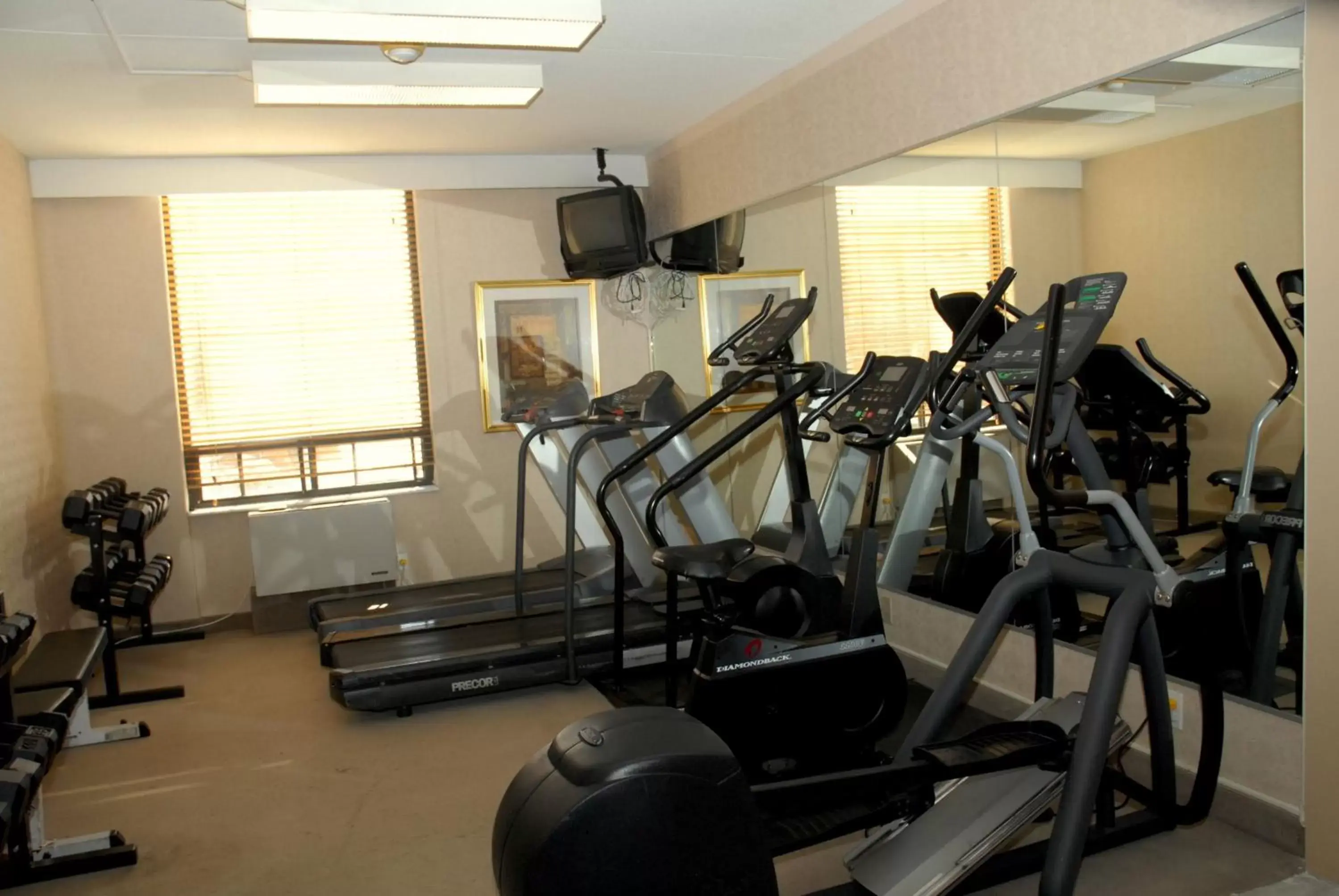 Day, Fitness Center/Facilities in Days Inn by Wyndham Ottawa West