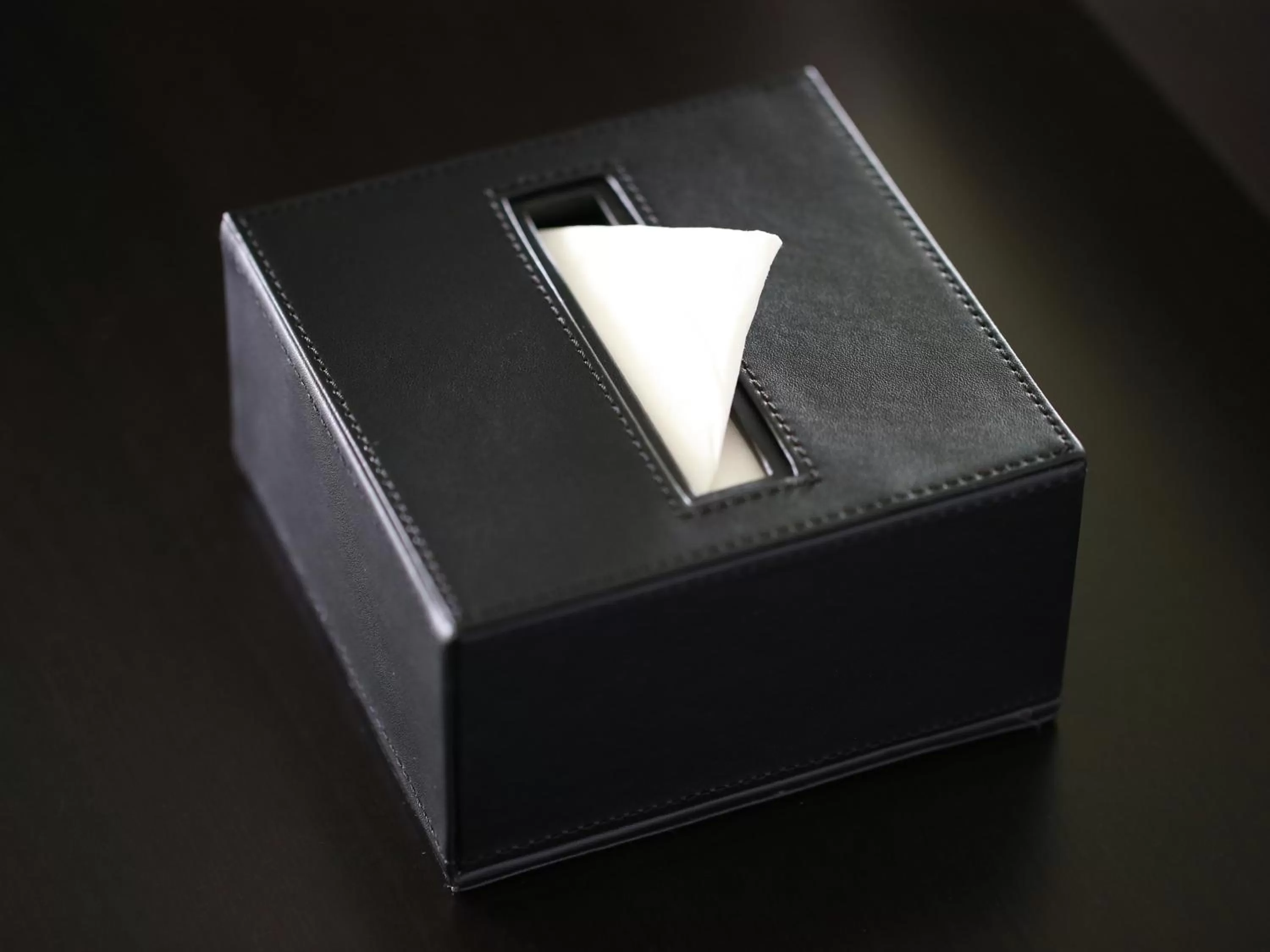 Decorative detail in APA Hotel Toyama Ekimae