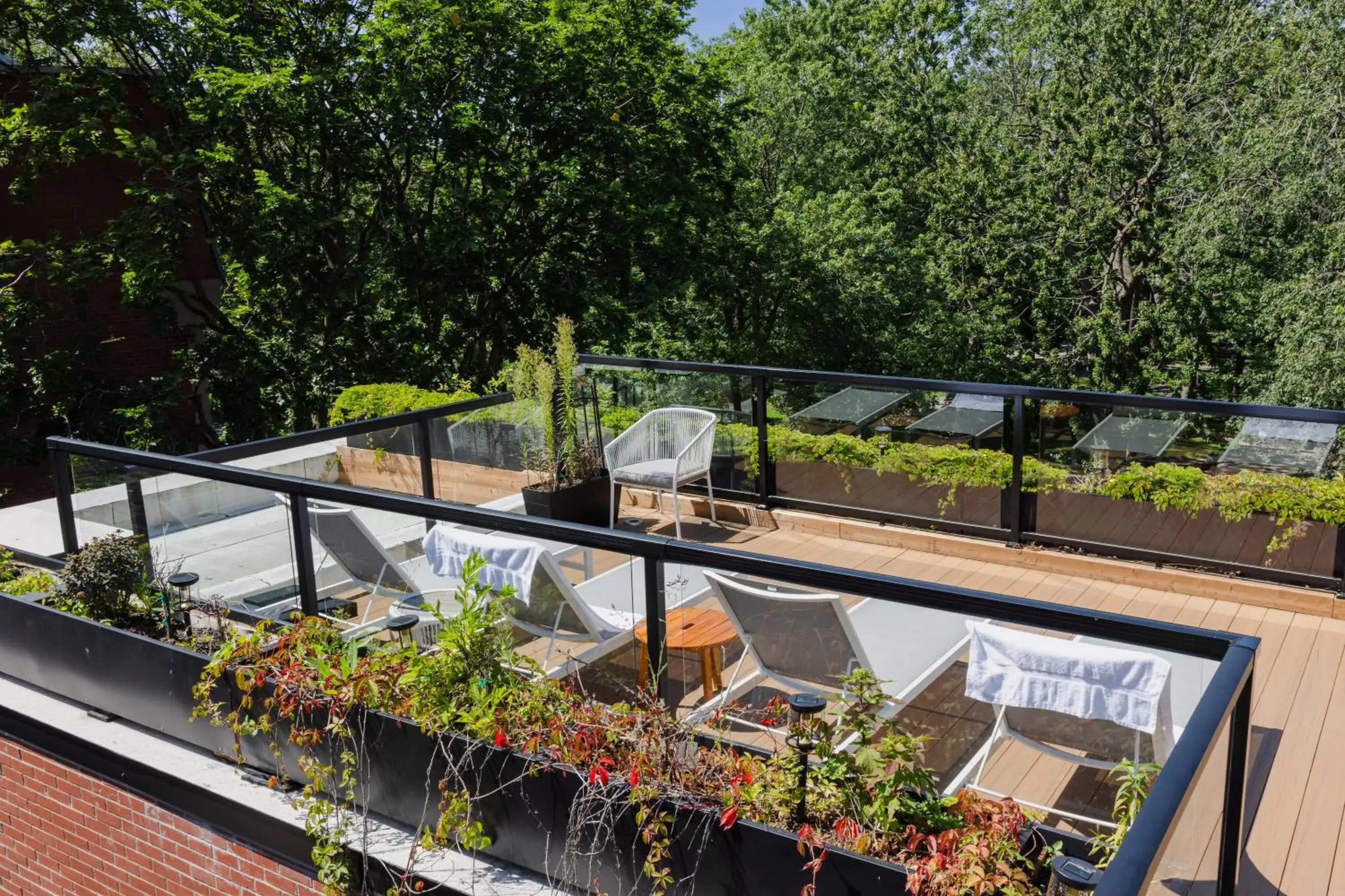 Patio, Balcony/Terrace in Auberge du Carre St-Louis