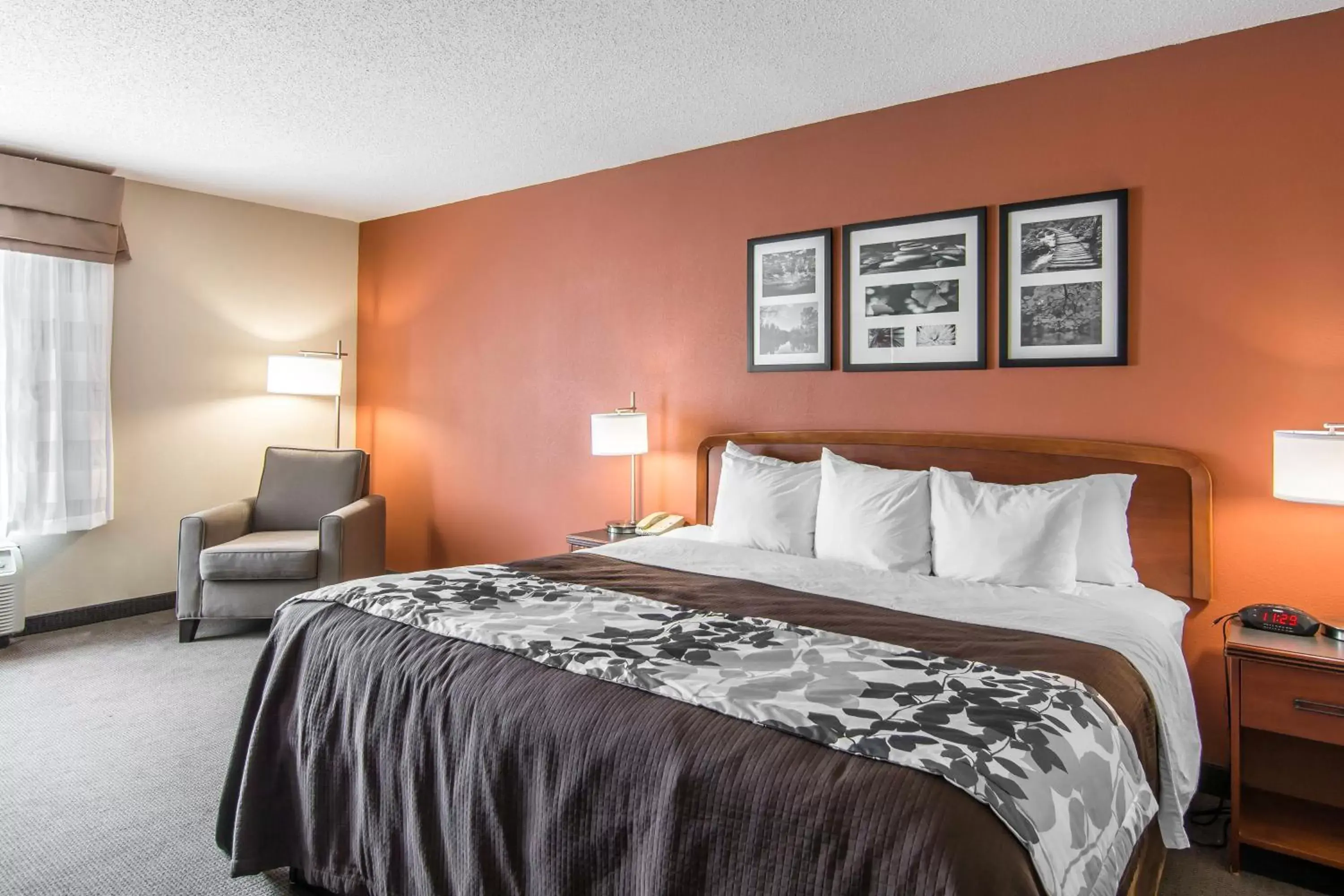 King Room - Non-Smoking in Spark By Hilton Fredericksburg Southpoint King Room - Non-Smoking in Spark By Hilton Fredericksburg Southpoint