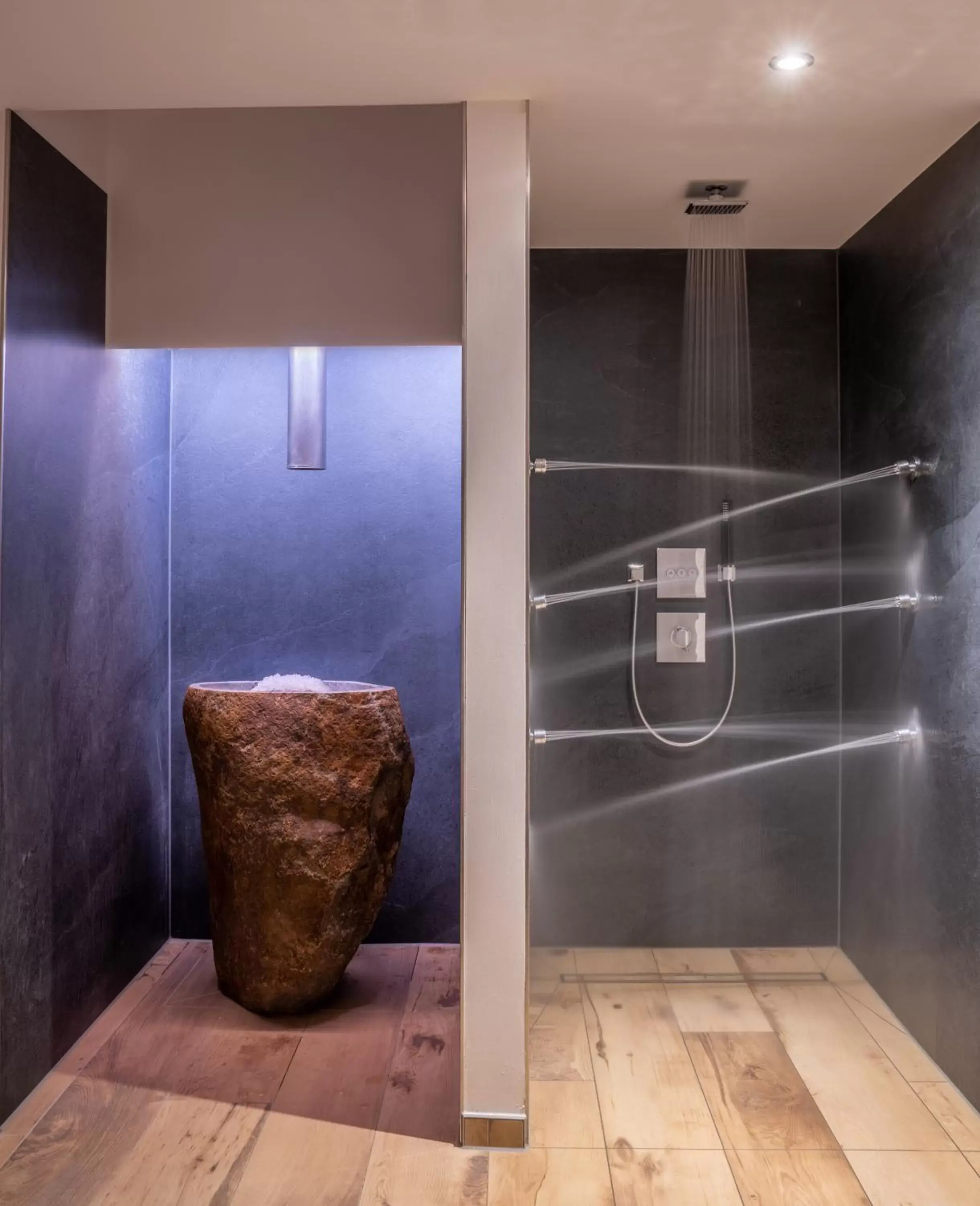 Shower, Bathroom in Waldhotel Vogtland