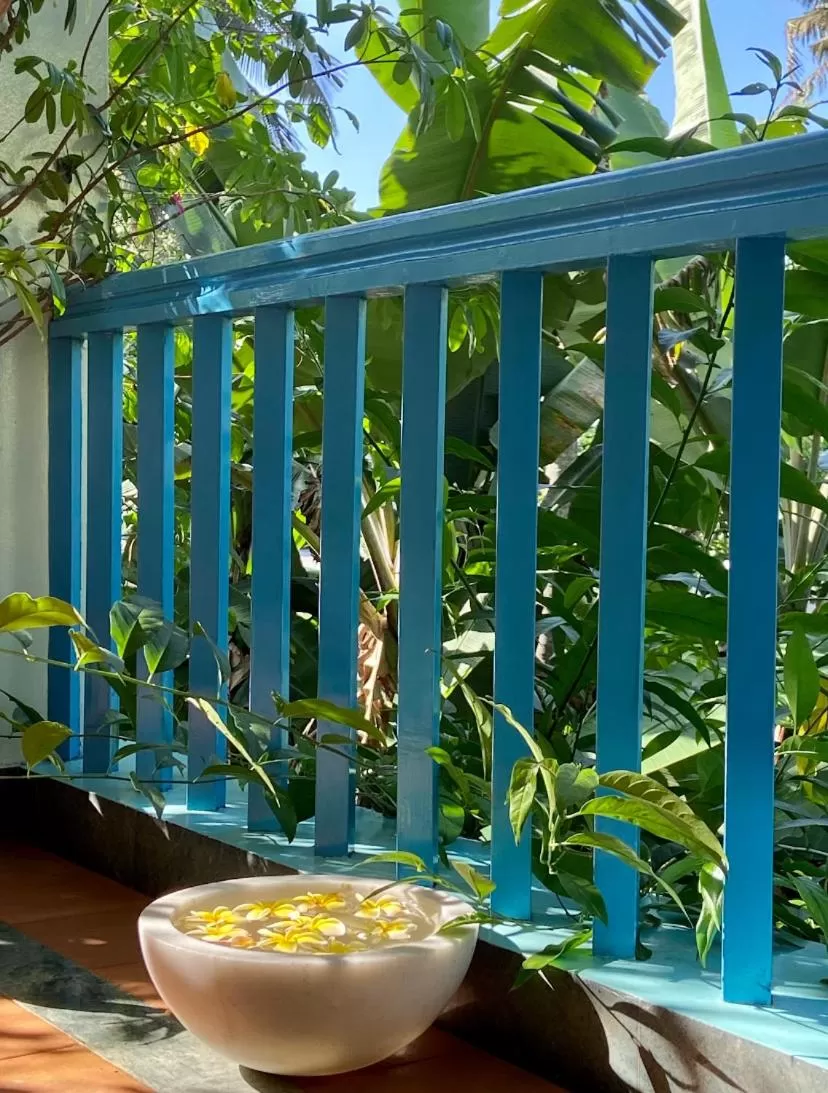 Garden view in Villa Jacaranda