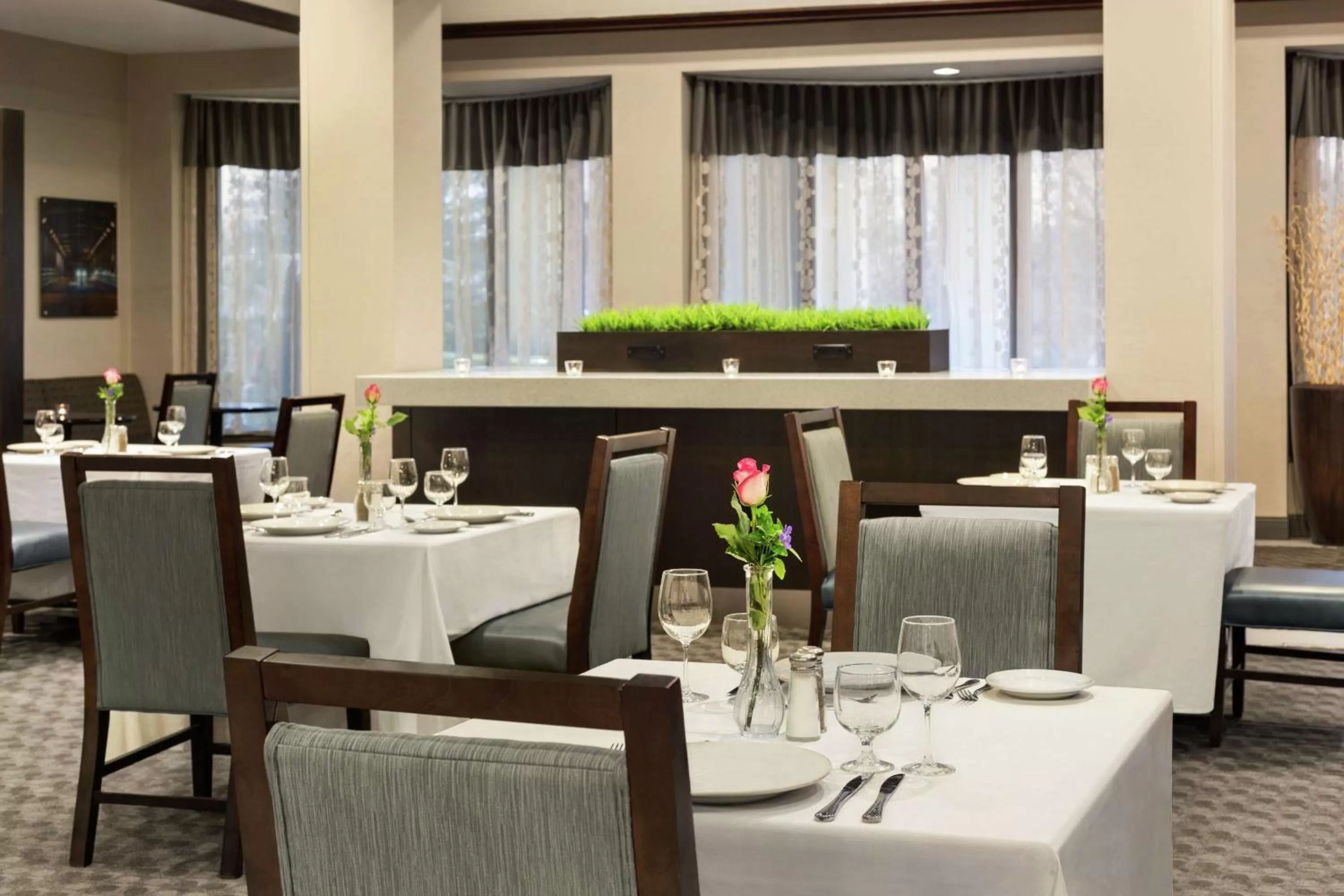 Restaurant/places to eat in DoubleTree by Hilton Hotel Detroit Novi