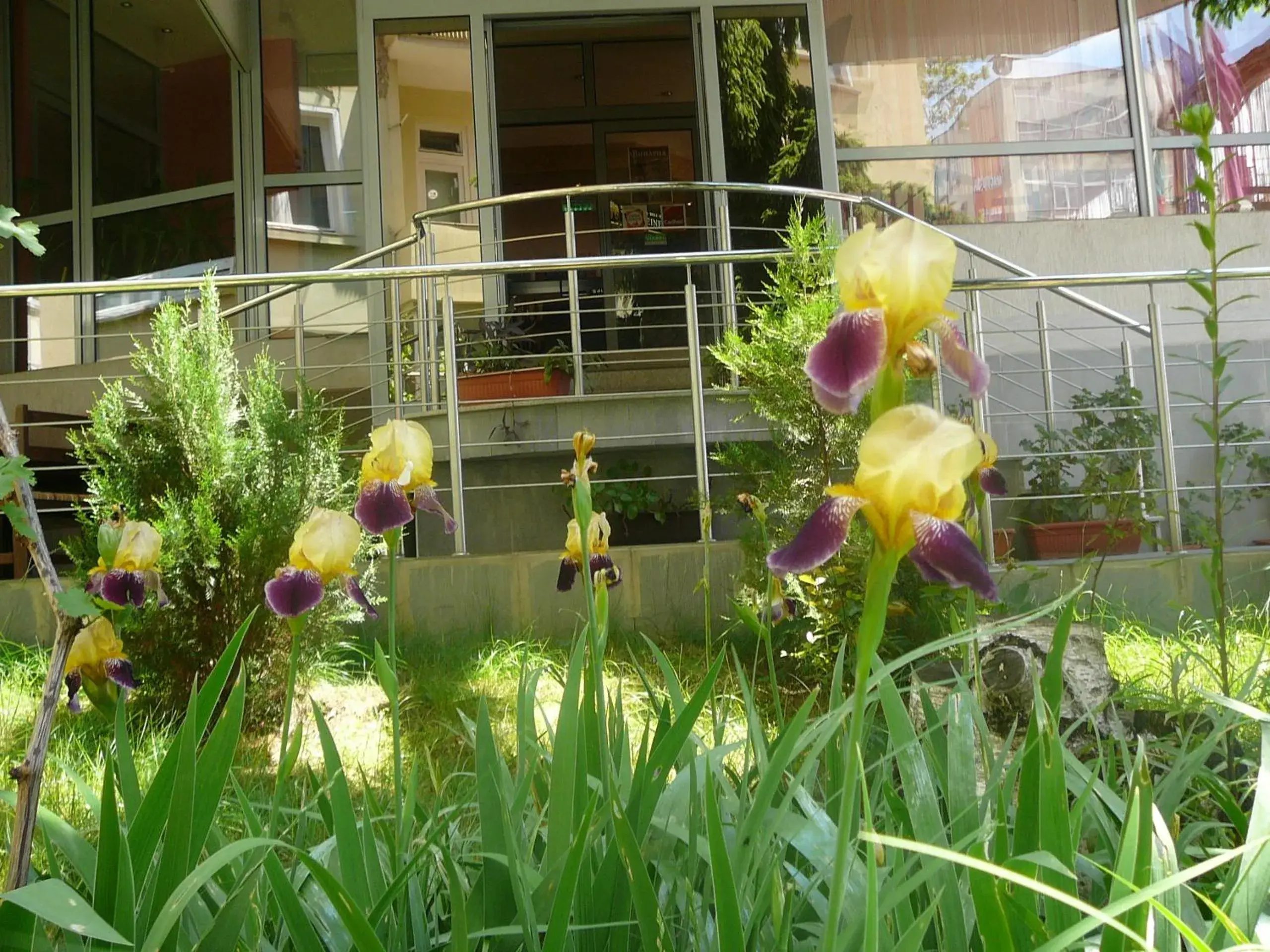 Garden, Children in Hotel Akvaya