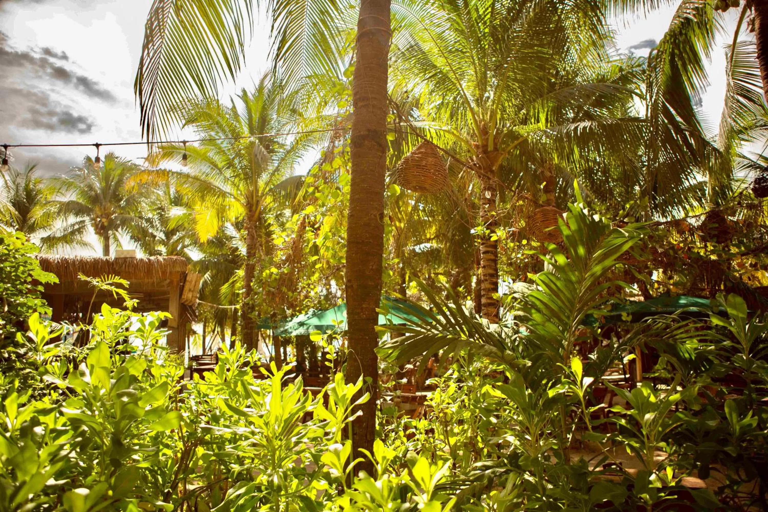 Garden view in Nomads Hotel, Hostel & Beachclub