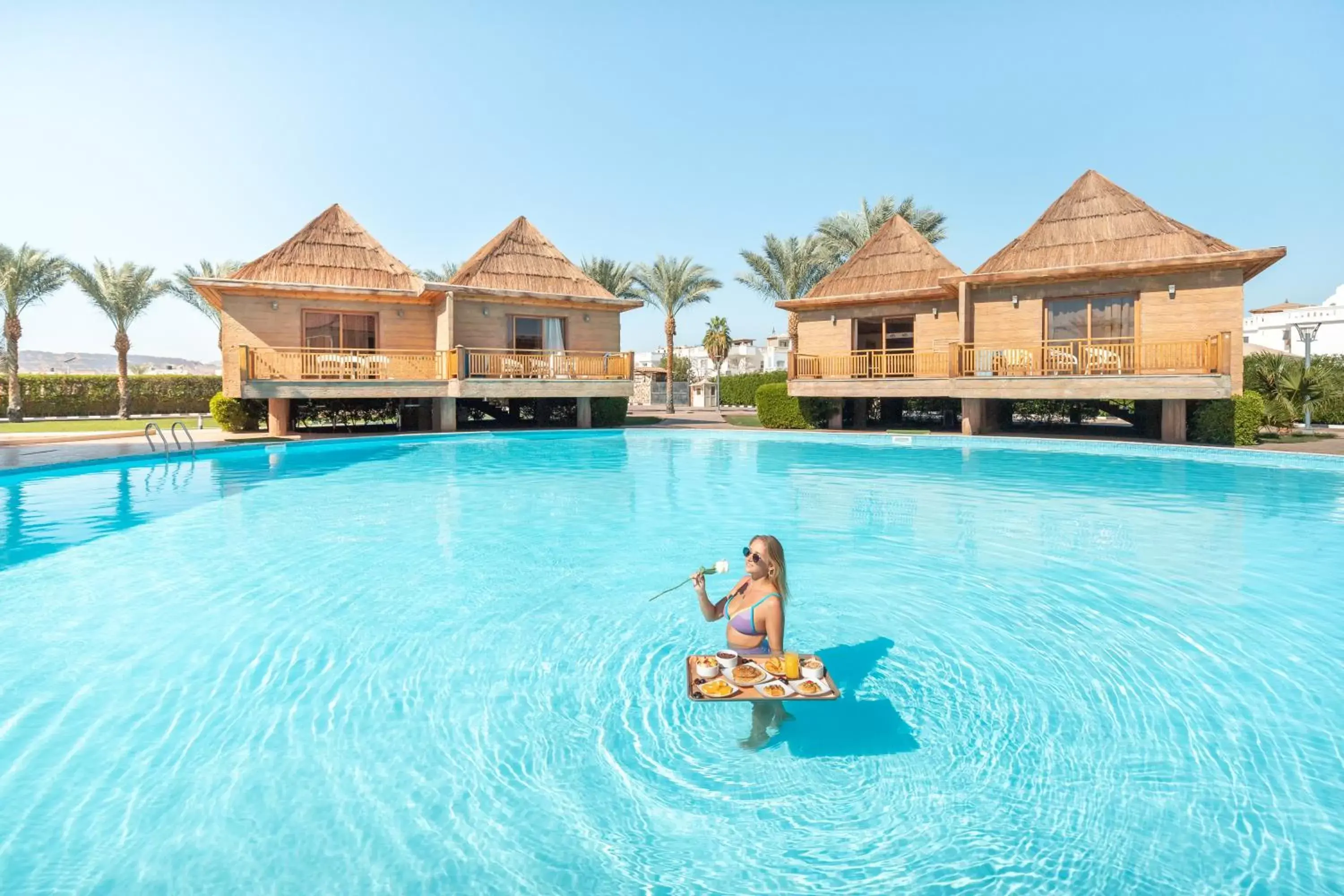 Pool view, Swimming Pool in Pickalbatros Aqua Blu Sharm El Sheikh