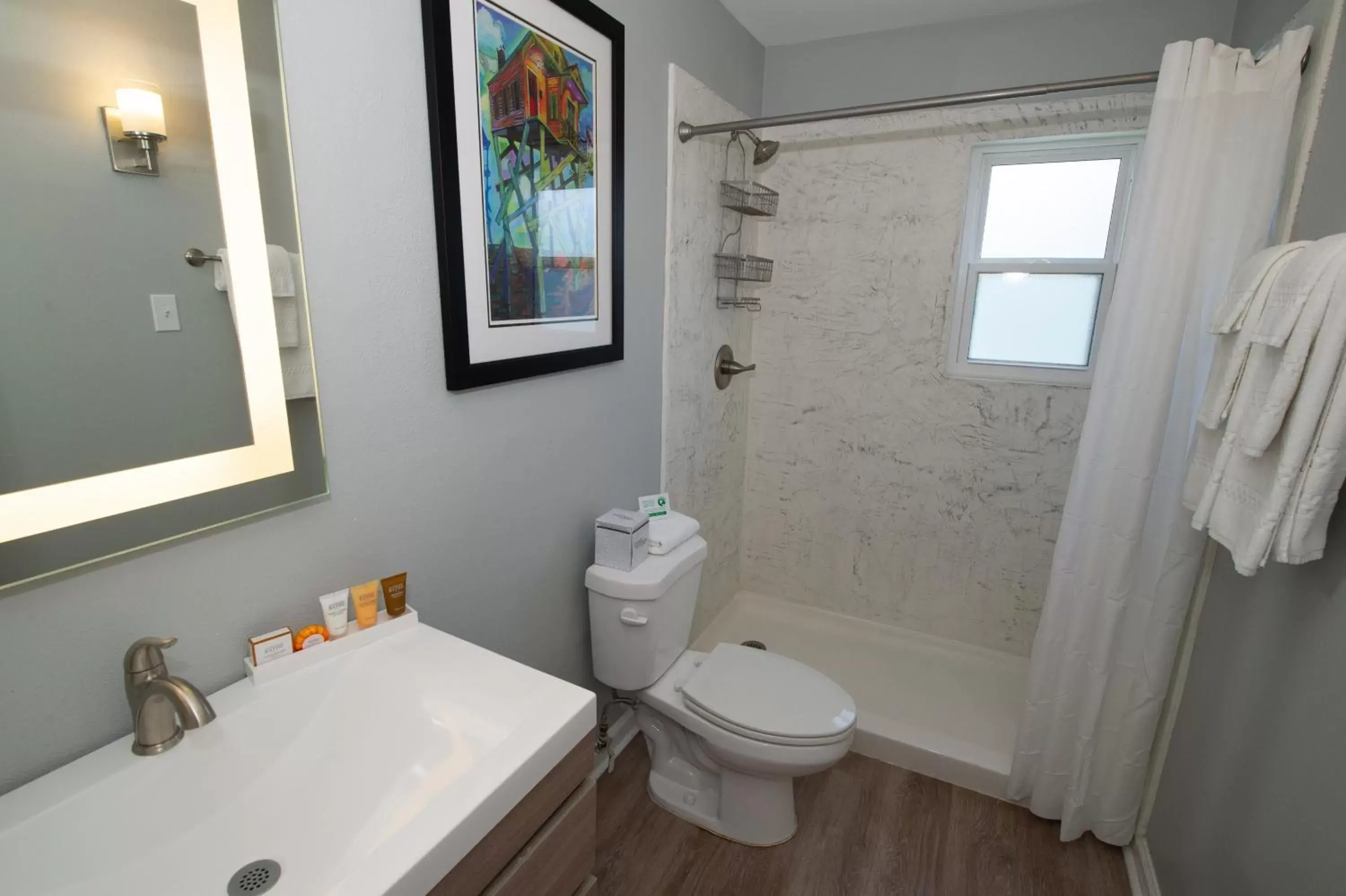 Shower, Bathroom in Frenchmen Orleans at 519, Ascend Hotel Collection