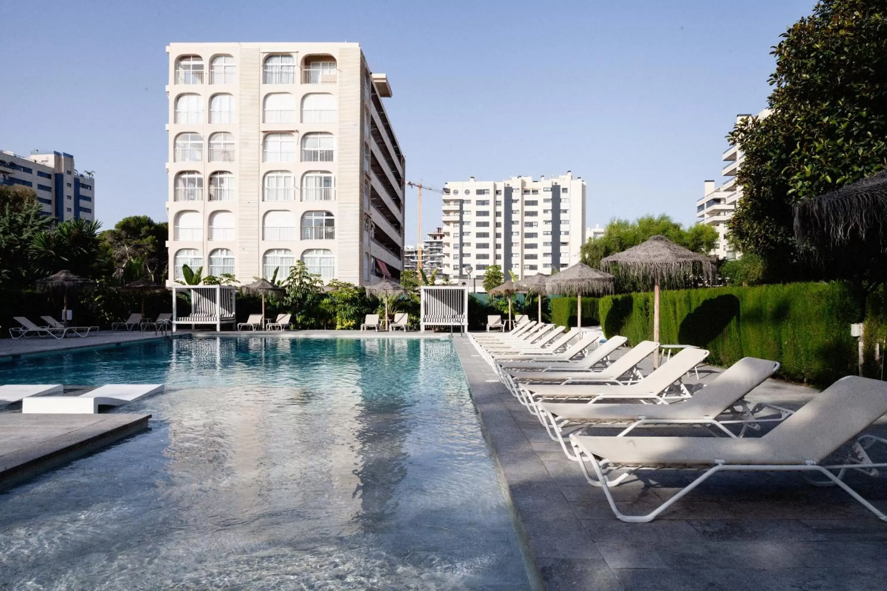 Garden, Swimming Pool in Hotel Almirante