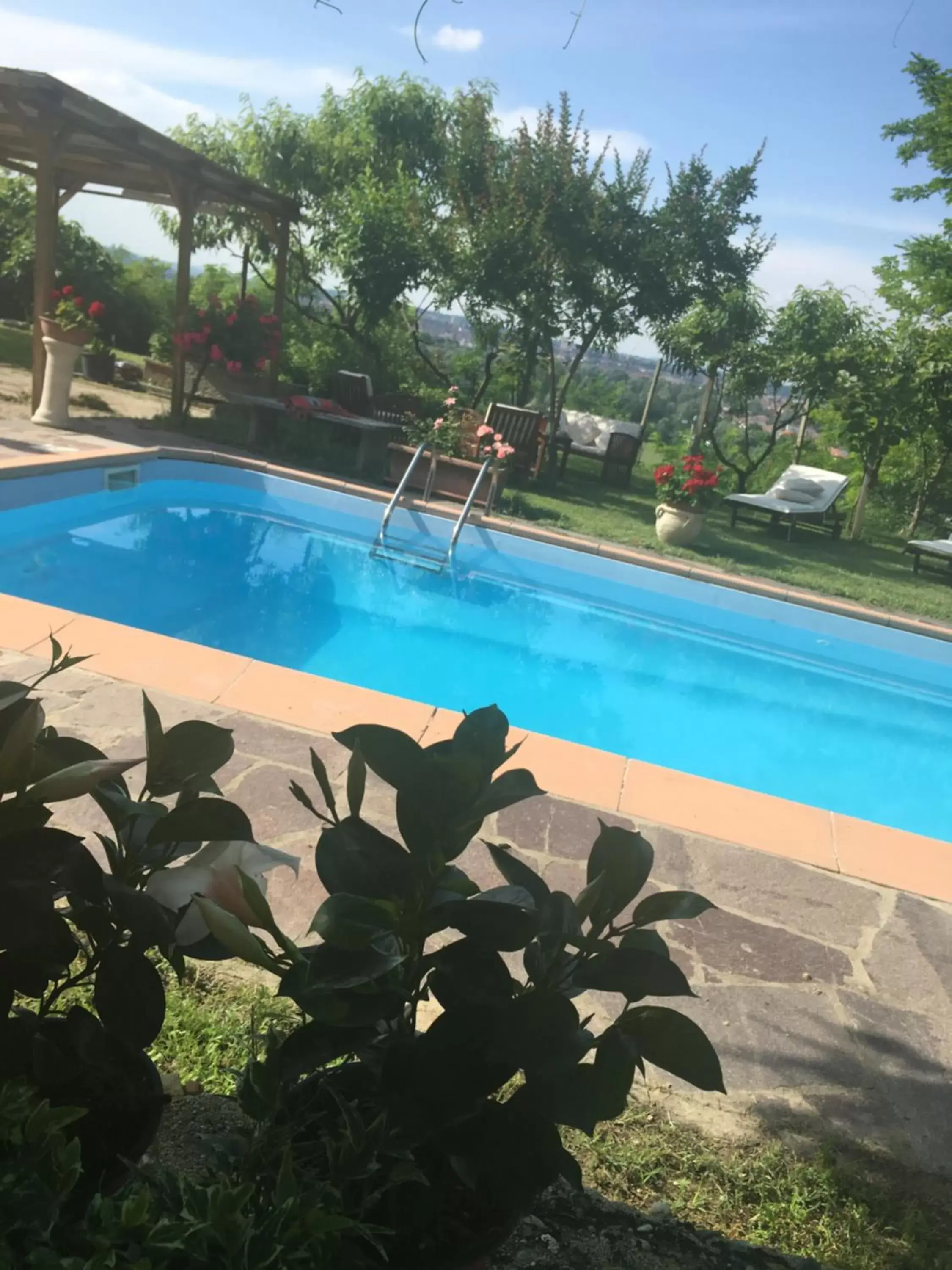 Swimming Pool in B&B La Villarella dei Tulipani