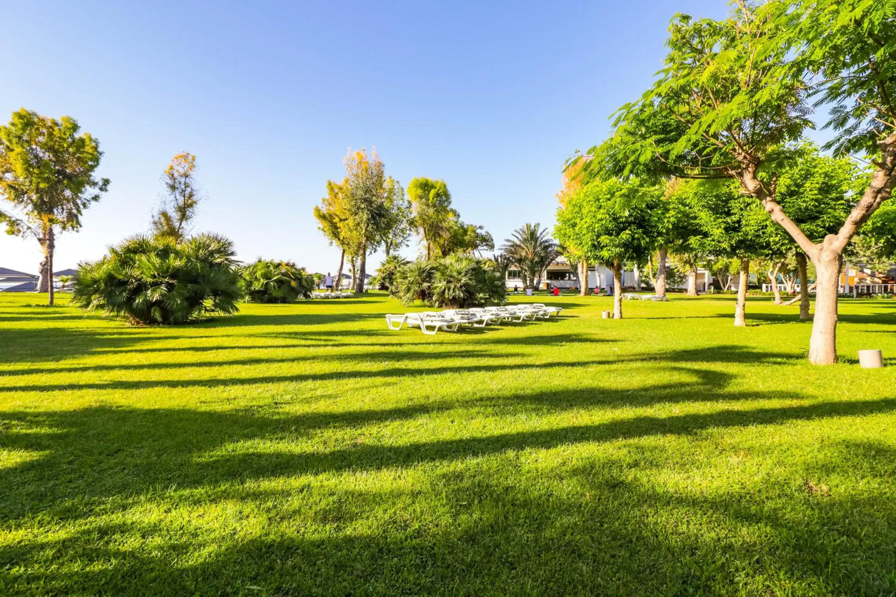 Garden in Queen's Park Le Jardin