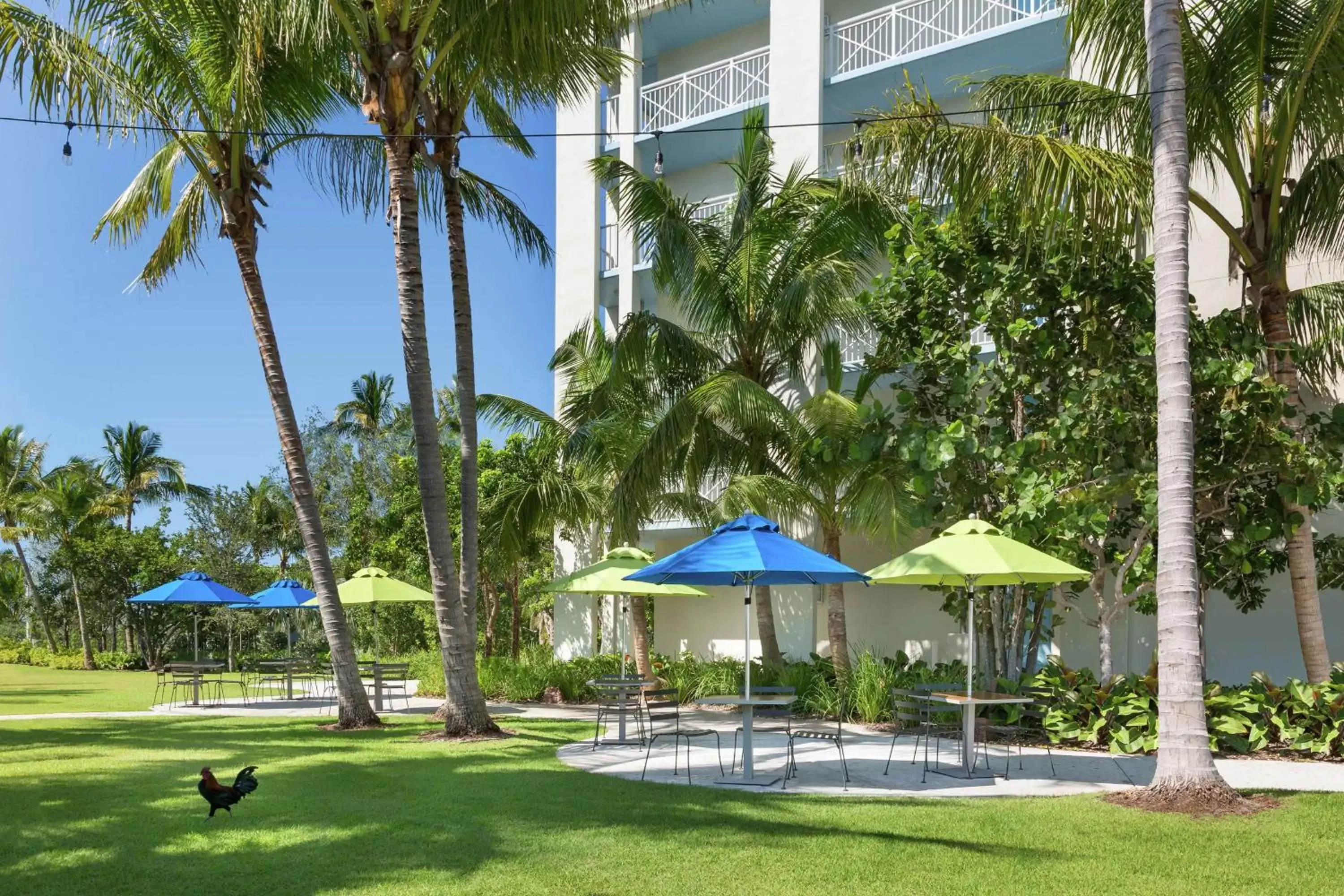 Property building, Garden in Hilton Garden Inn Key West / The Keys Collection