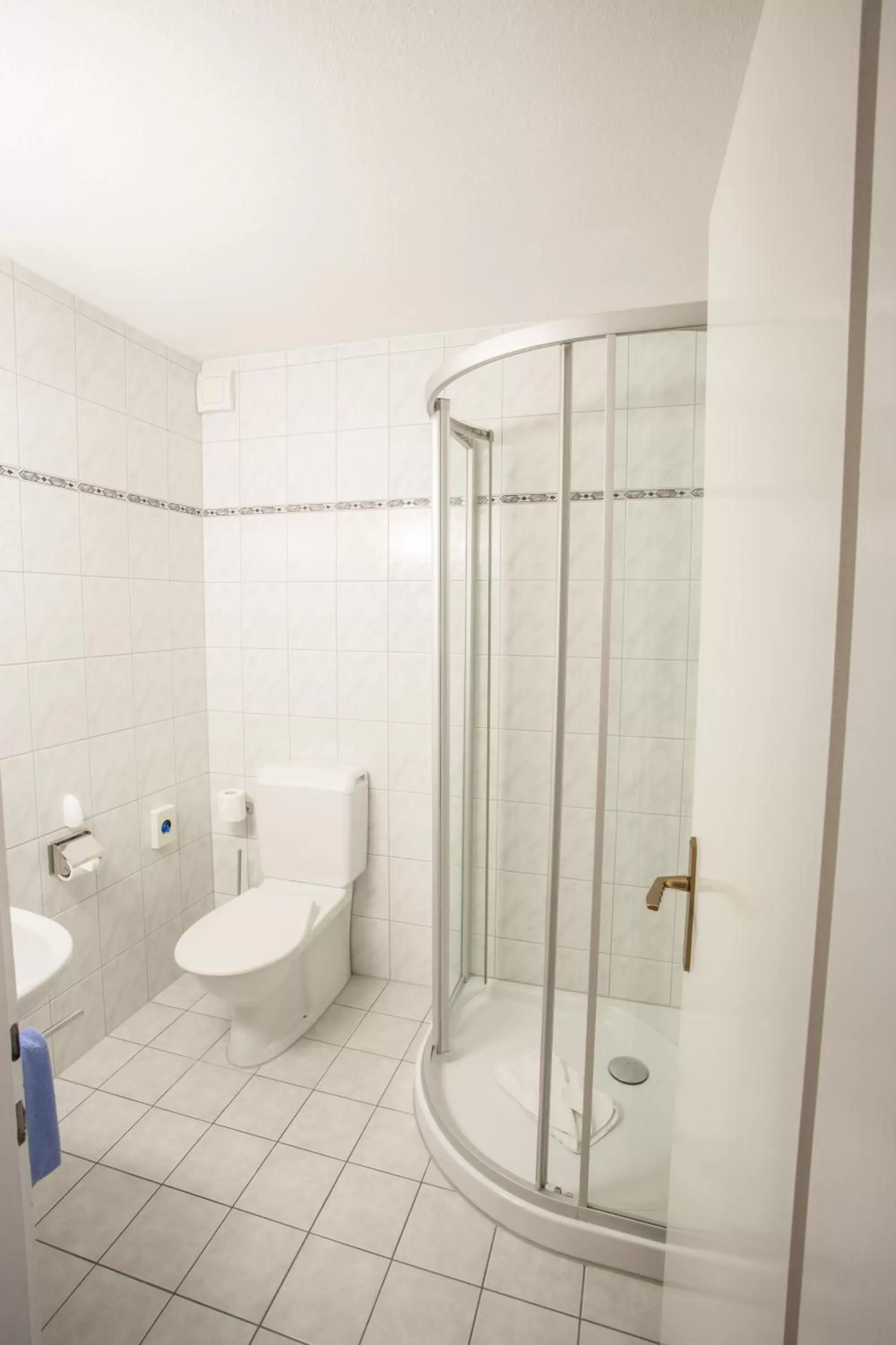 Shower, Bathroom in Garni-Hotel Frohburg - Beau Rivage Collection