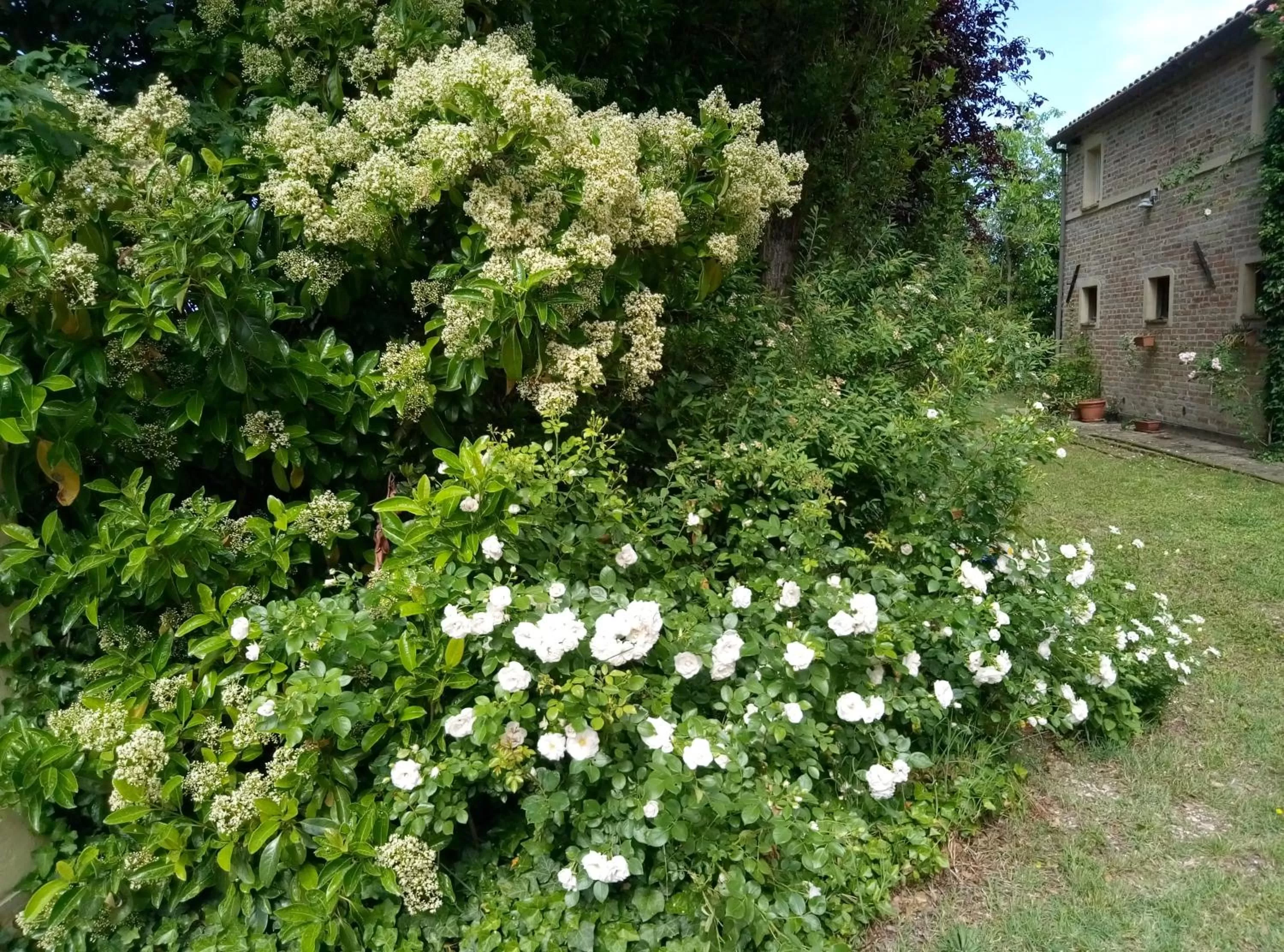 Property building in La Casa di Tara B&B Armonia e Natura