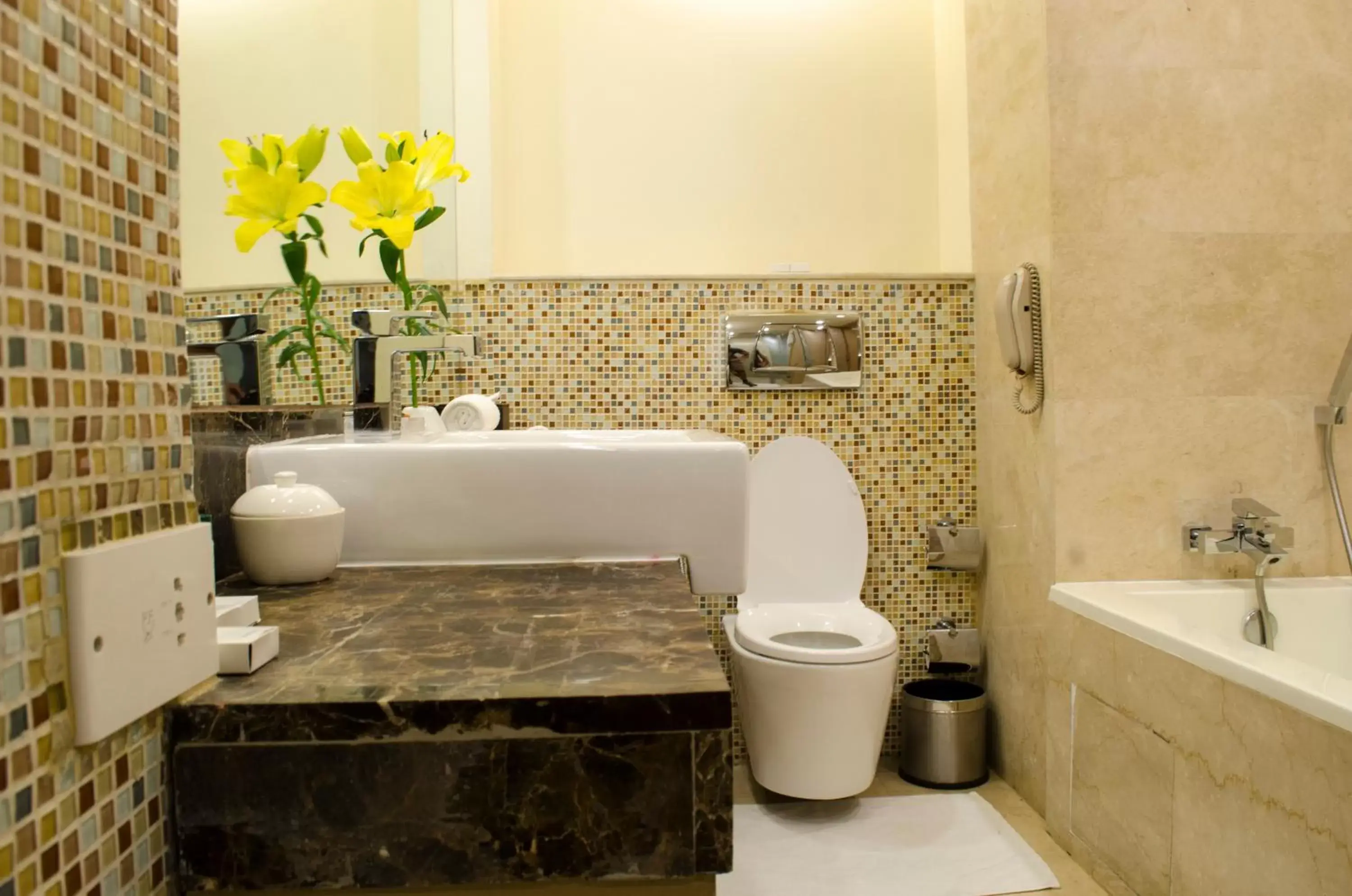 Bathroom in Radisson Blu Hotel, Greater Noida