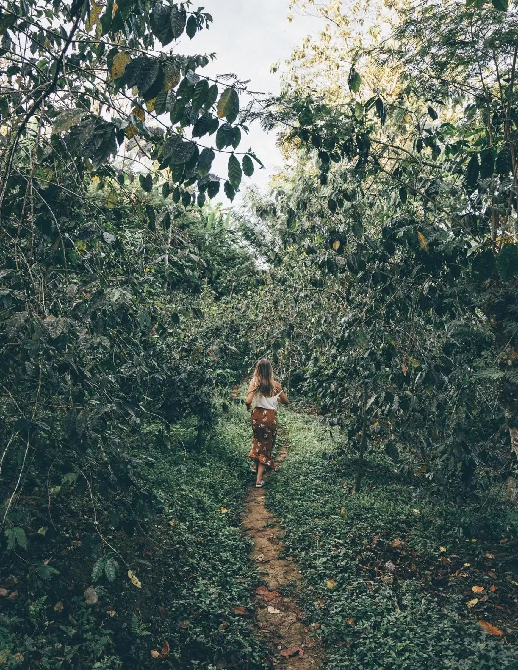 People in Munduk Moding Plantation Nature Resort & Spa