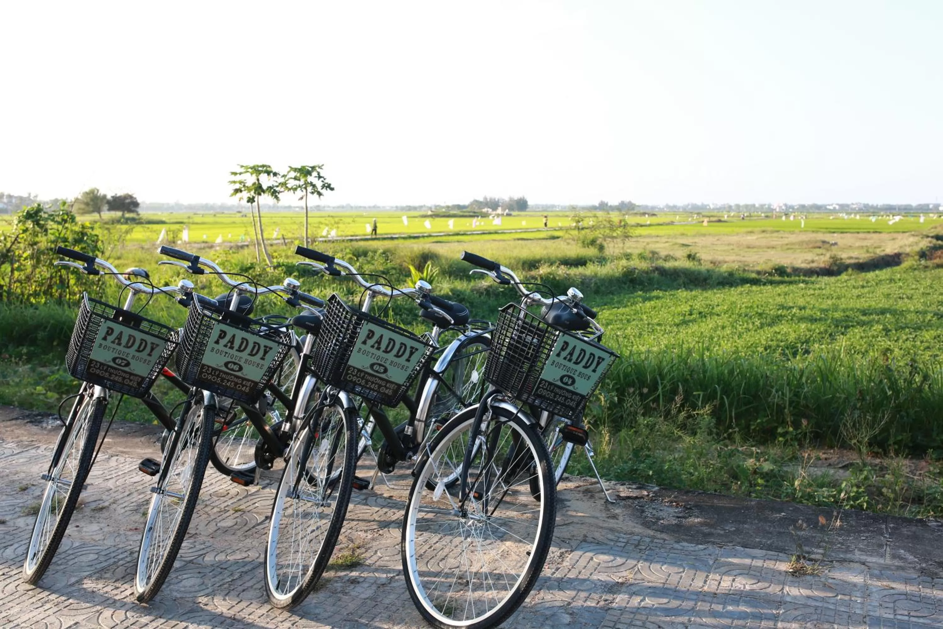 Cycling in Paddy Boutique House Hoian