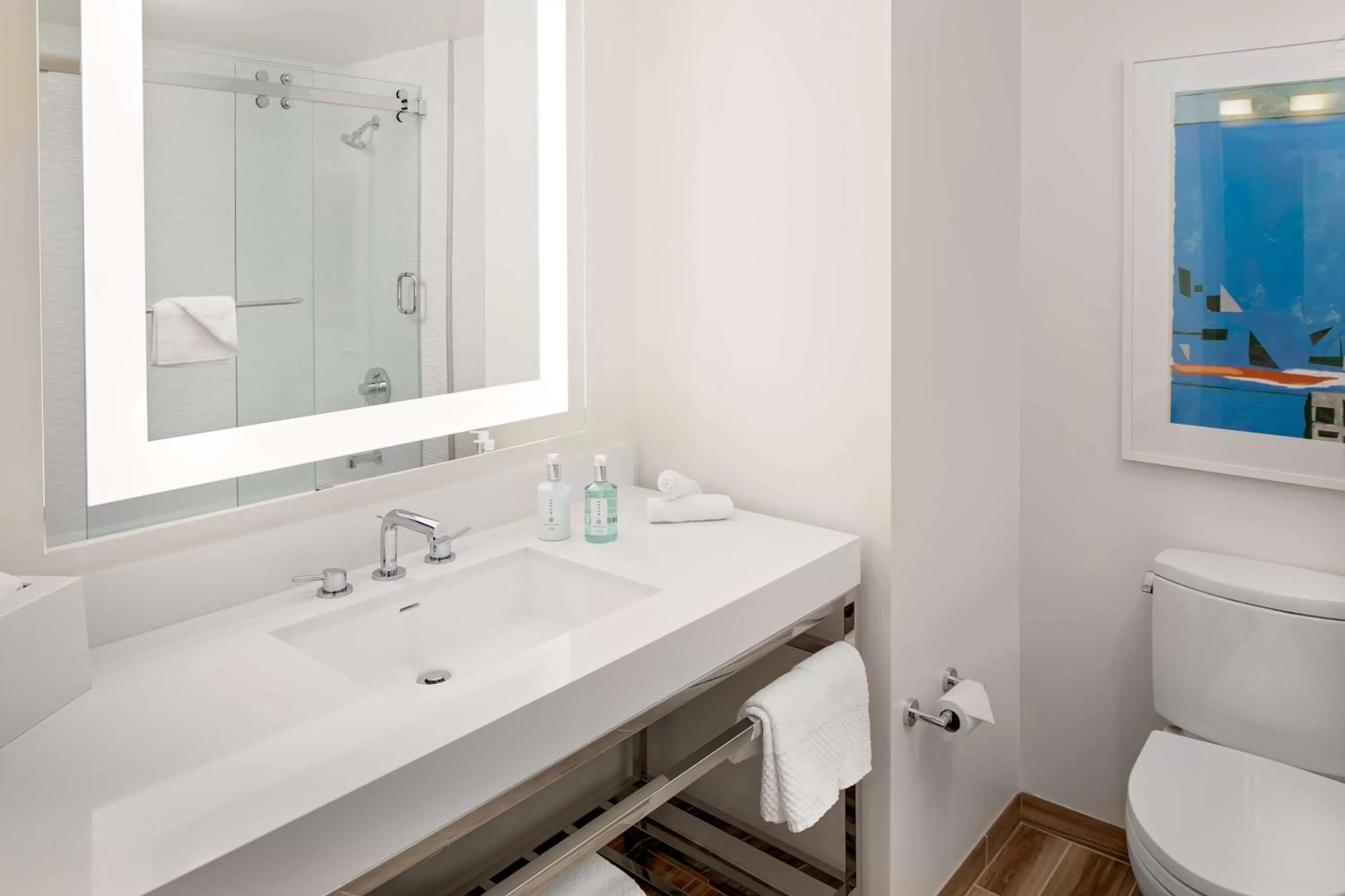 Bathroom in Embassy Suites by Hilton San Diego Bay Downtown