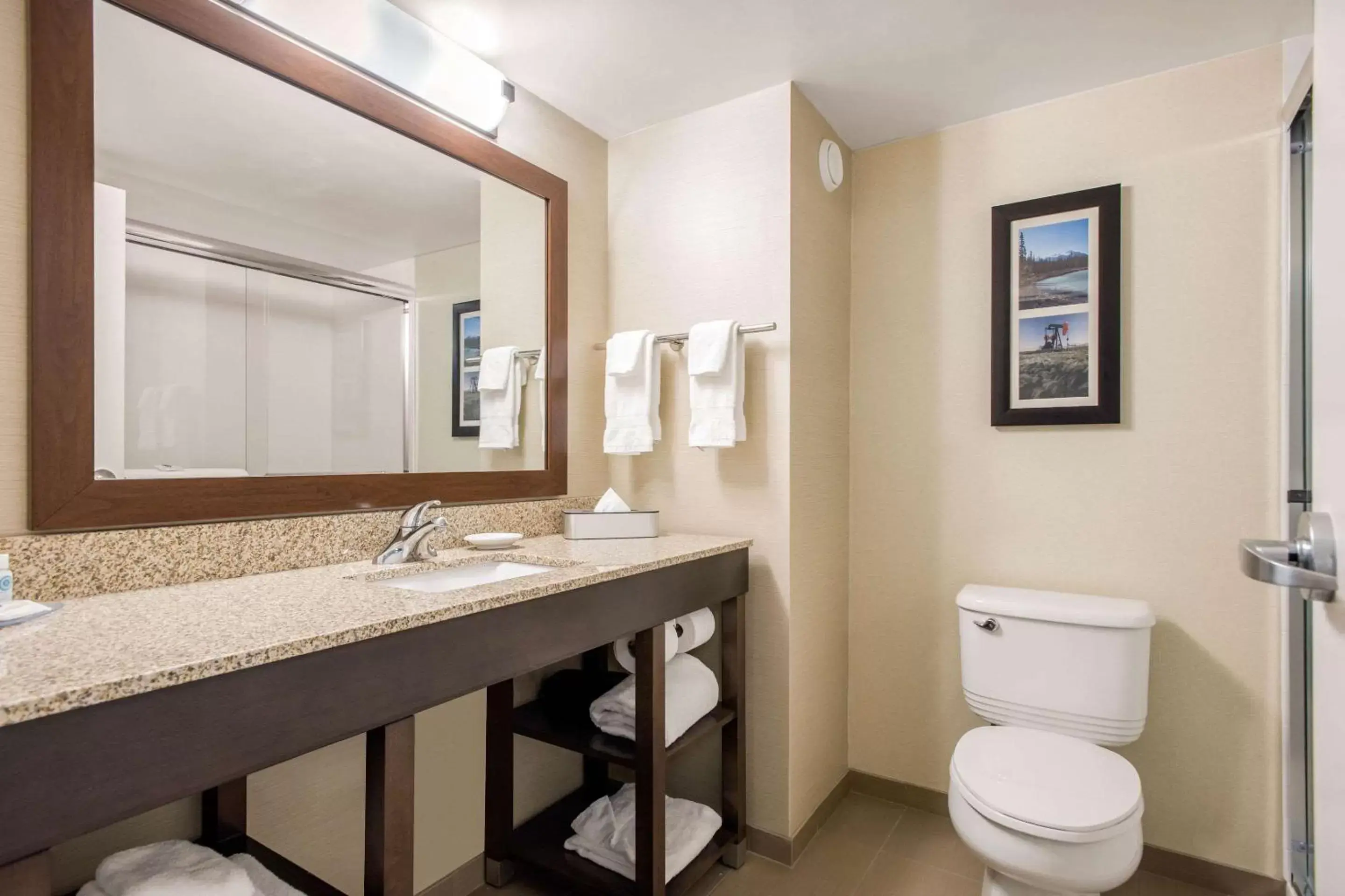 Bathroom in Comfort Inn & Suites Red Deer