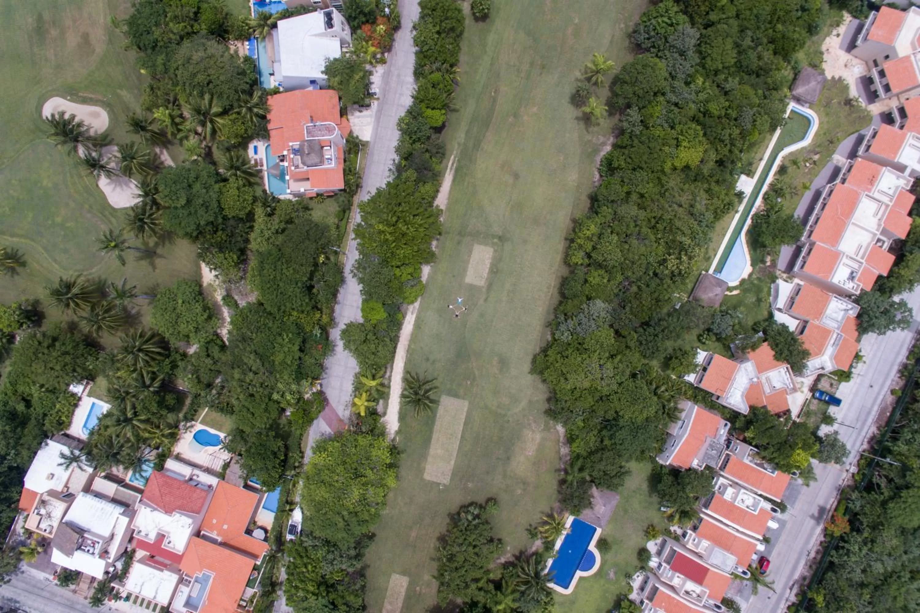 Activities in B&B Mom's House