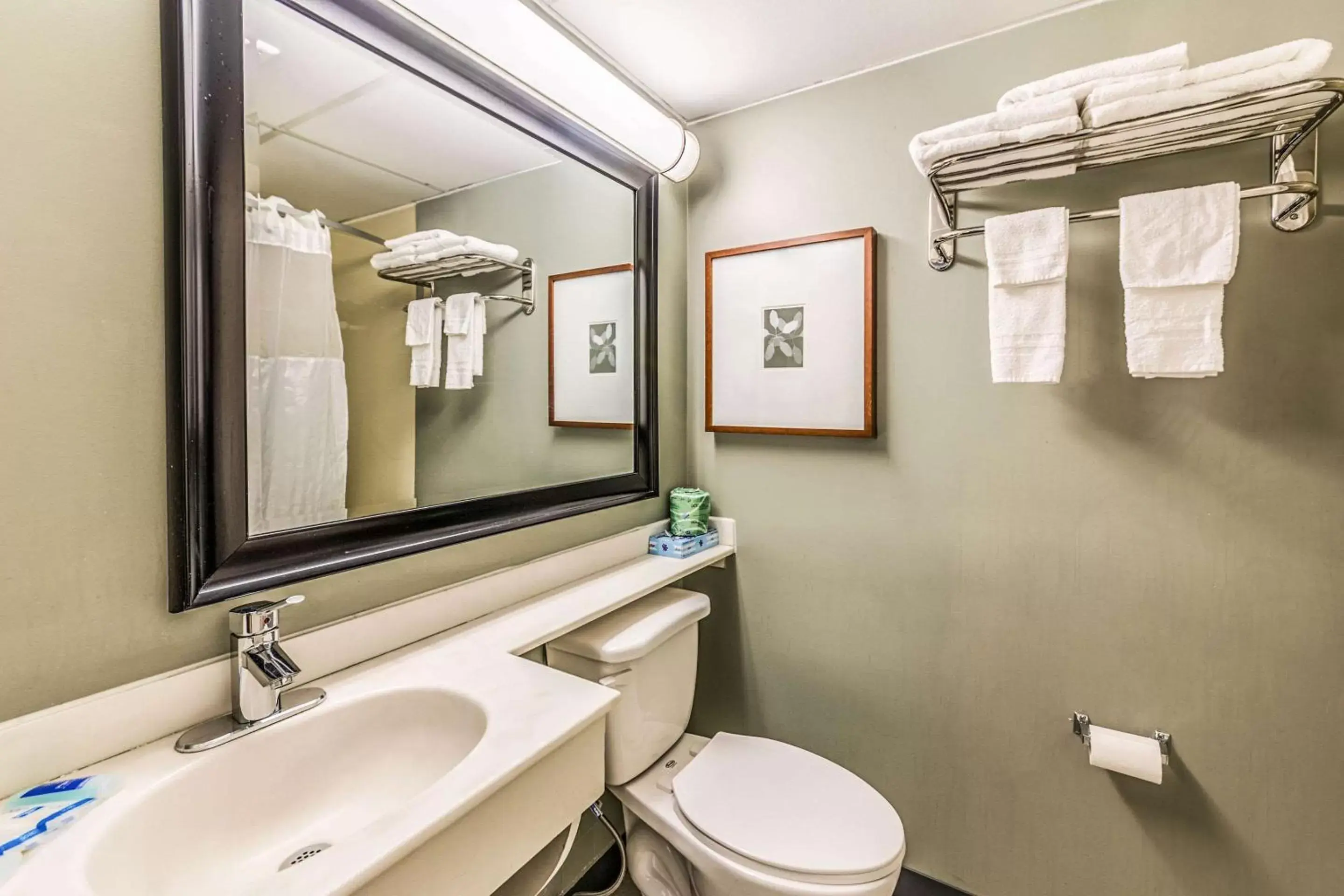 Photo of the whole room, Bathroom in Rodeway Inn Conference Center Montgomeryville