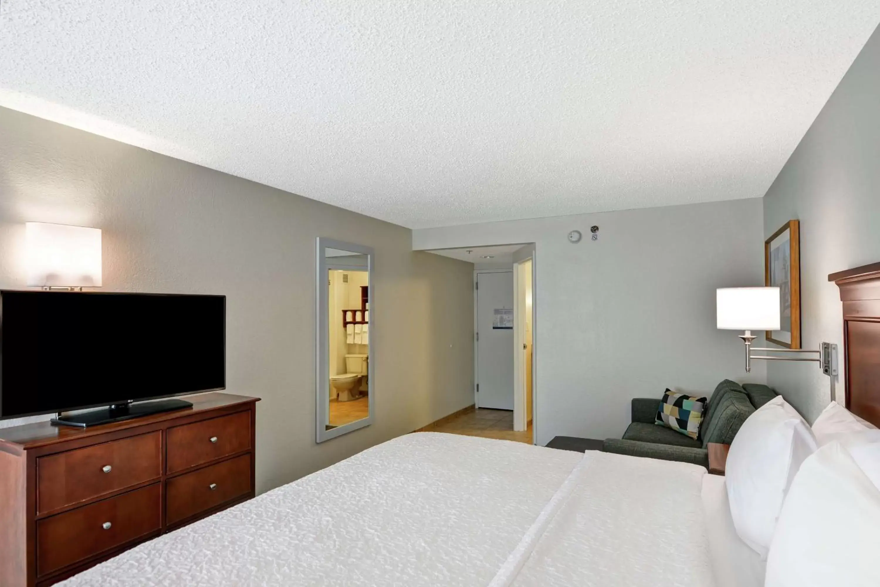 Bedroom, TV/Entertainment Center in Hampton Inn Birmingham/Mountain Brook