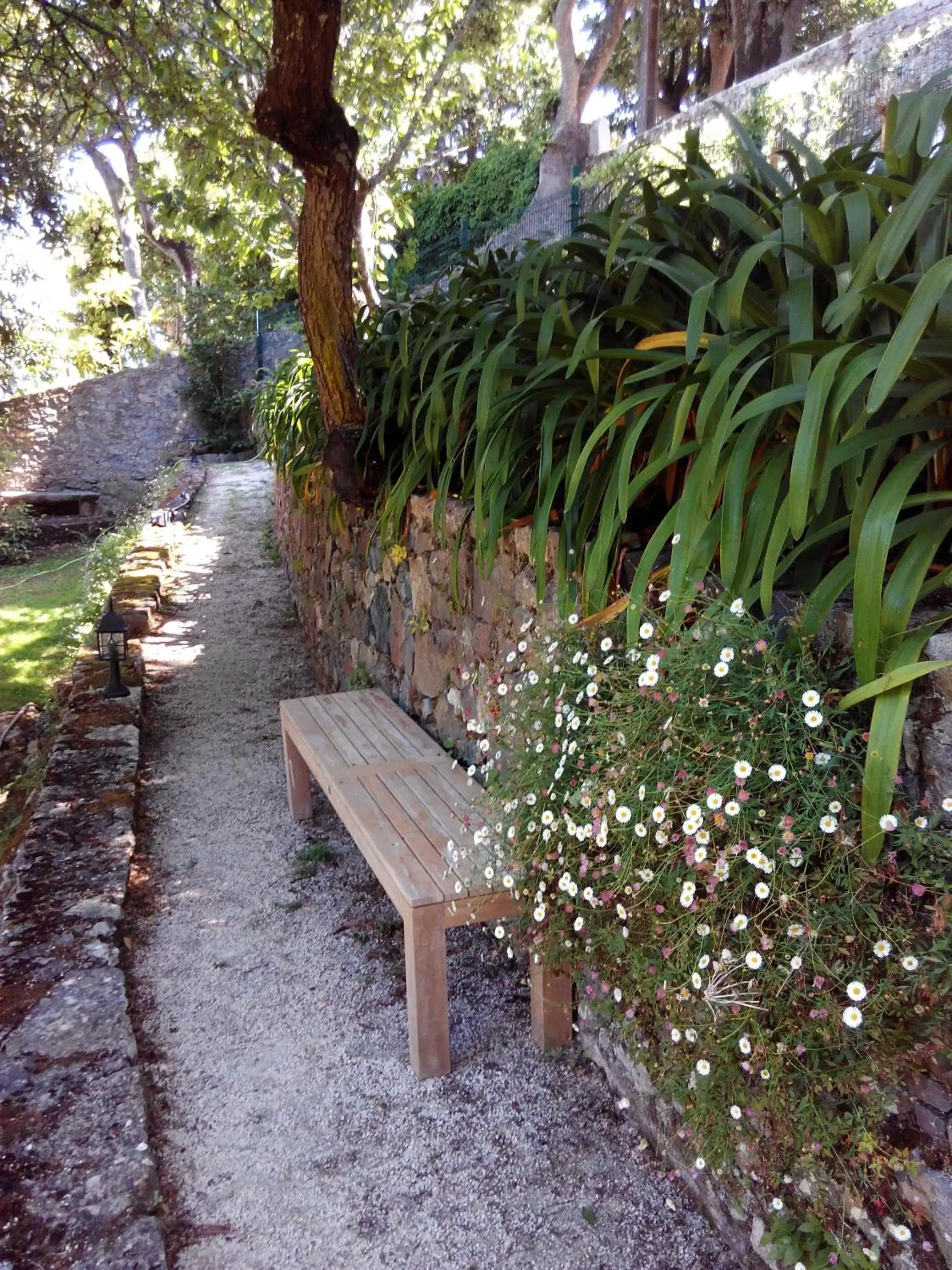 Garden in Guest House Villa dos Poetas