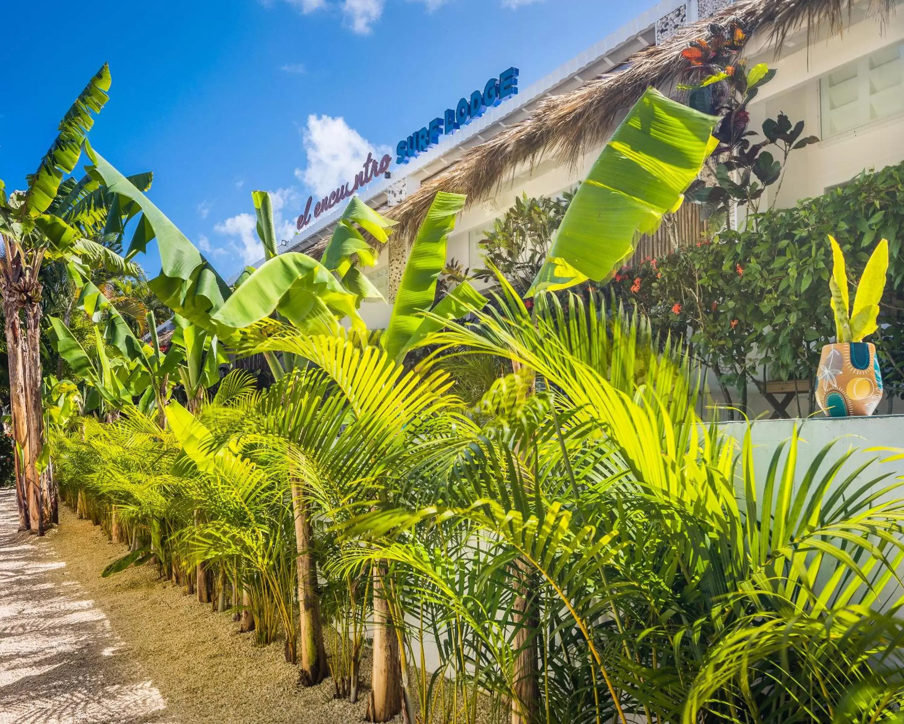 Property Building in El Encuentro Surf Lodge