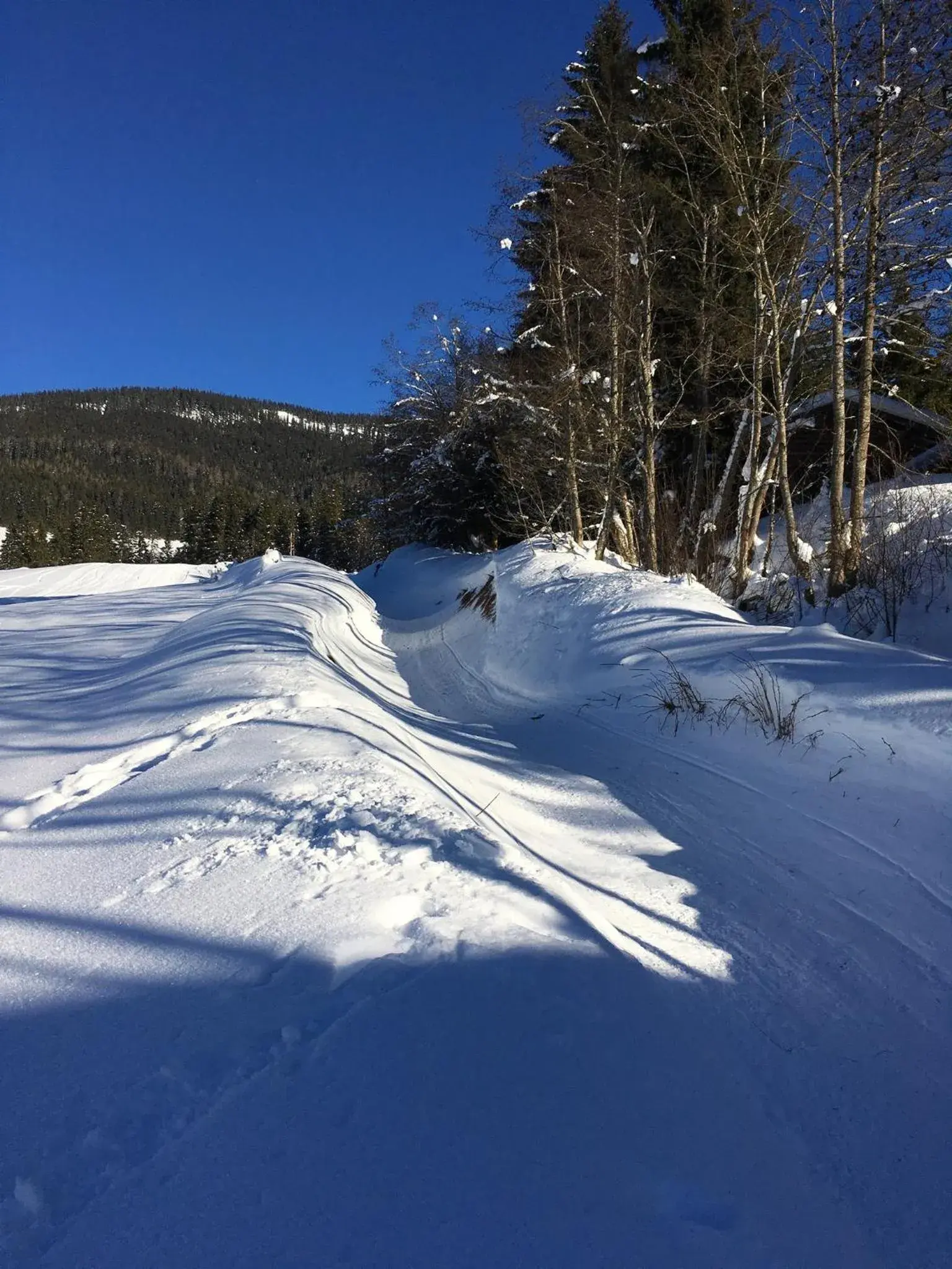 Activities, Winter in Alpenhof